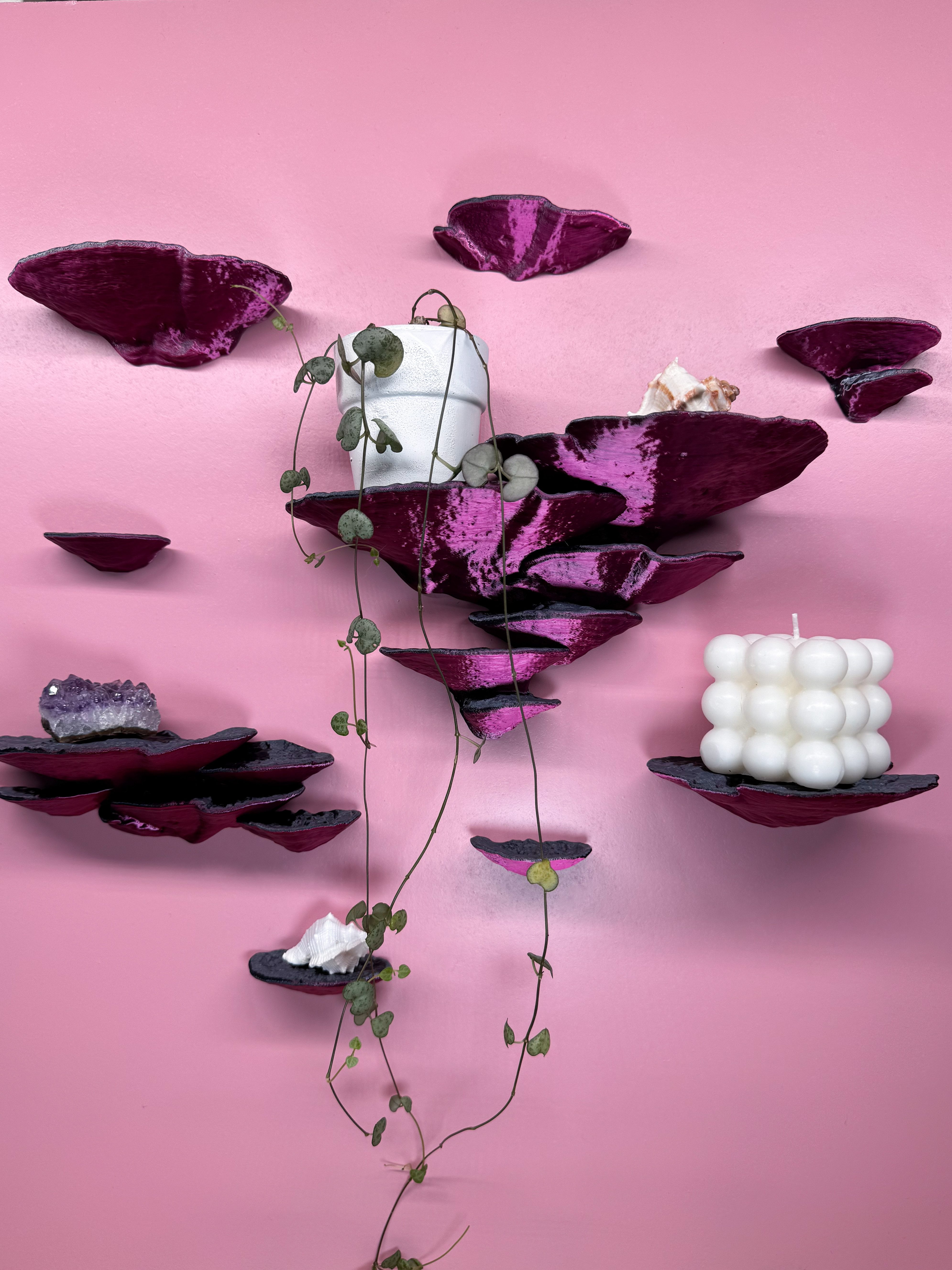 Roomberry Deko-Wandregal Trameten Pilzwandregal Bundle - 9-teiliges Set, Pi günstig online kaufen