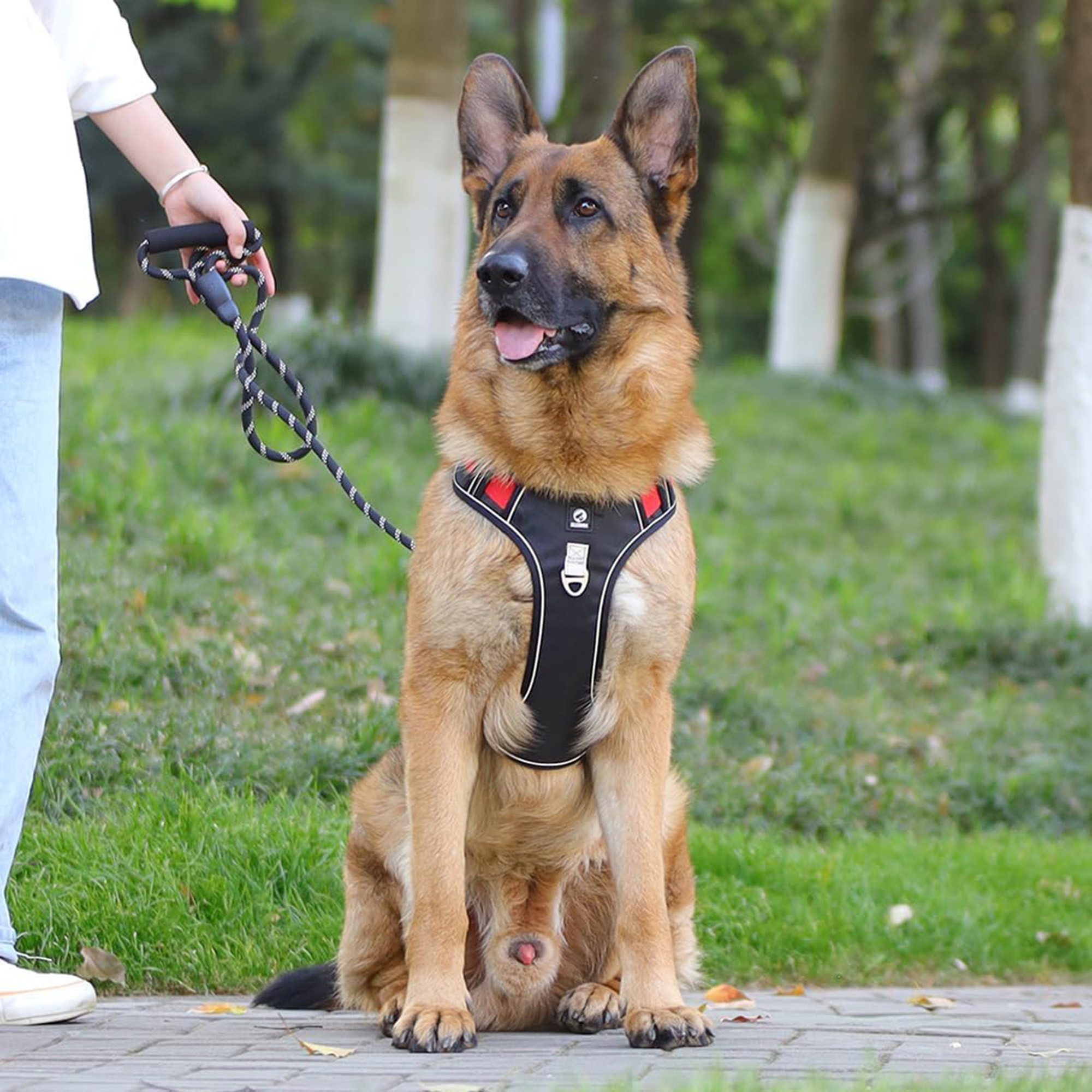 ibettertec Hundeweste Anti-Zug Hundegeschirr, Hundegeschirr, Hundeleine, Anti-Zug Hundegeschirr L mit Griff, weich gepolstert