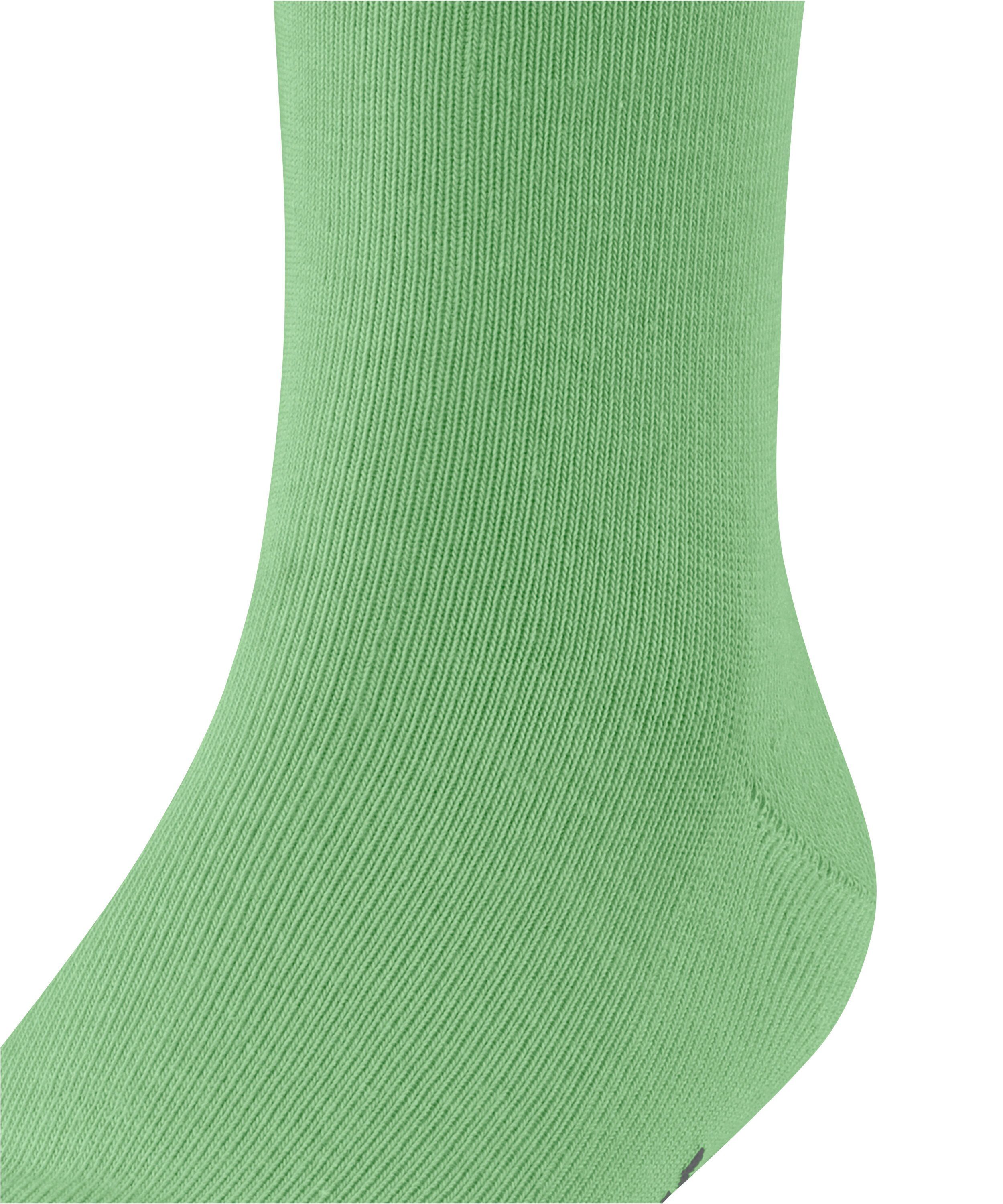 Socken (7486) Family (1-Paar) lizzardgreen FALKE