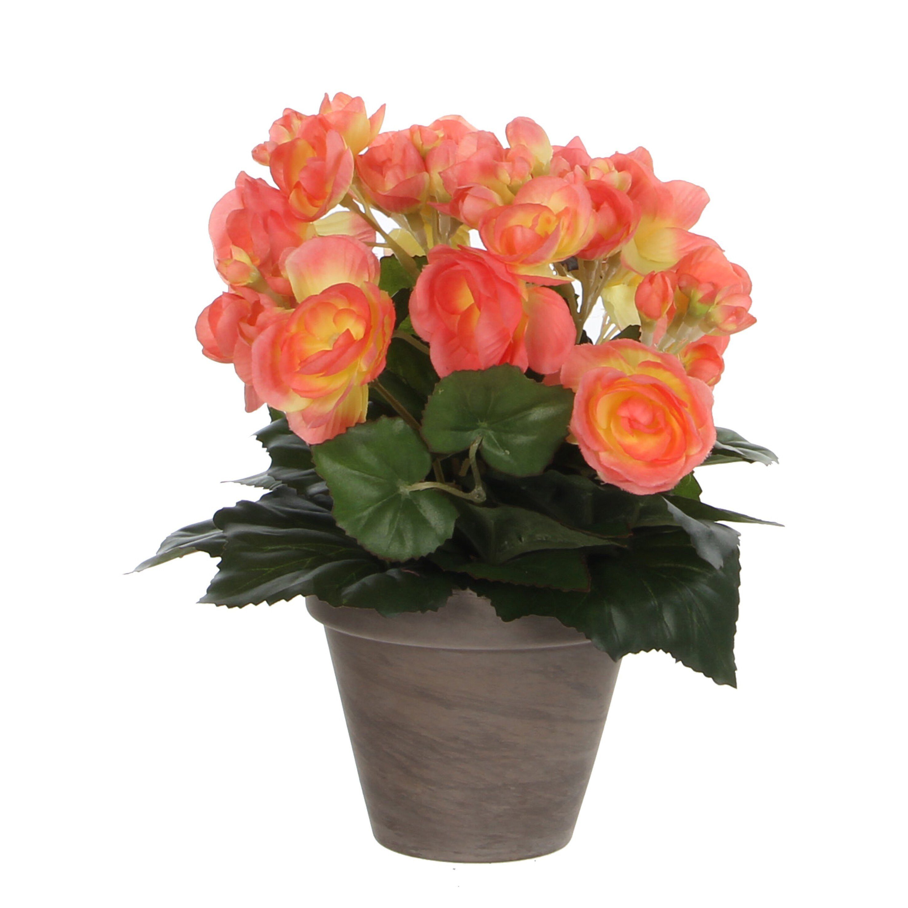Kunstpflanze Mica Decorations Begonia lachs in Topf Stan grau d11,5cm - h30xd25cm, Mica Decorations, Höhe 30 cm