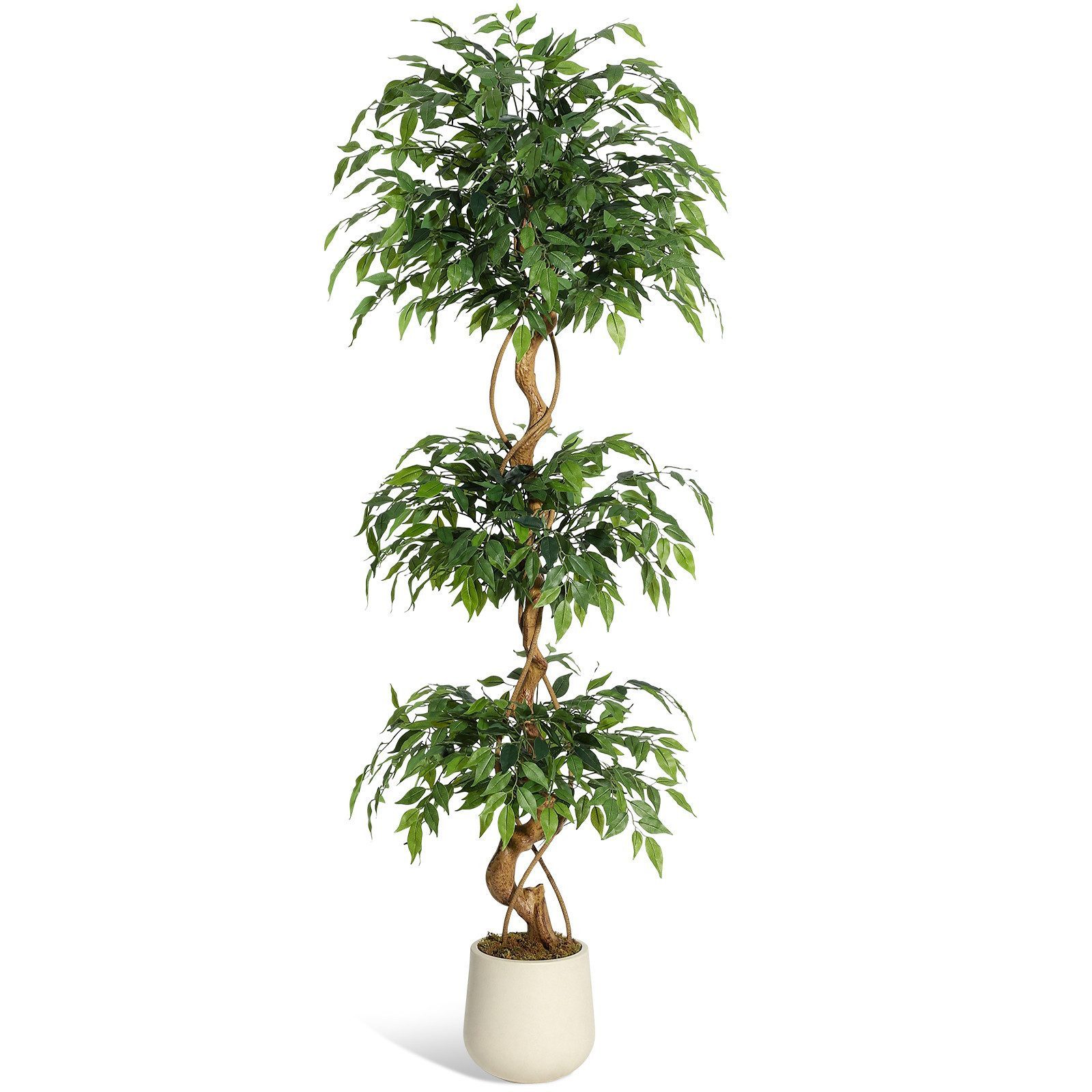 Kunstpflanze 1.5/1.8m Ficus Benjamini Ficusbaum mit Topf, Hausprofi, Höhe 180 cm, Birkenfeige mit Echtholzstamm, pflegeleicht & immergrün