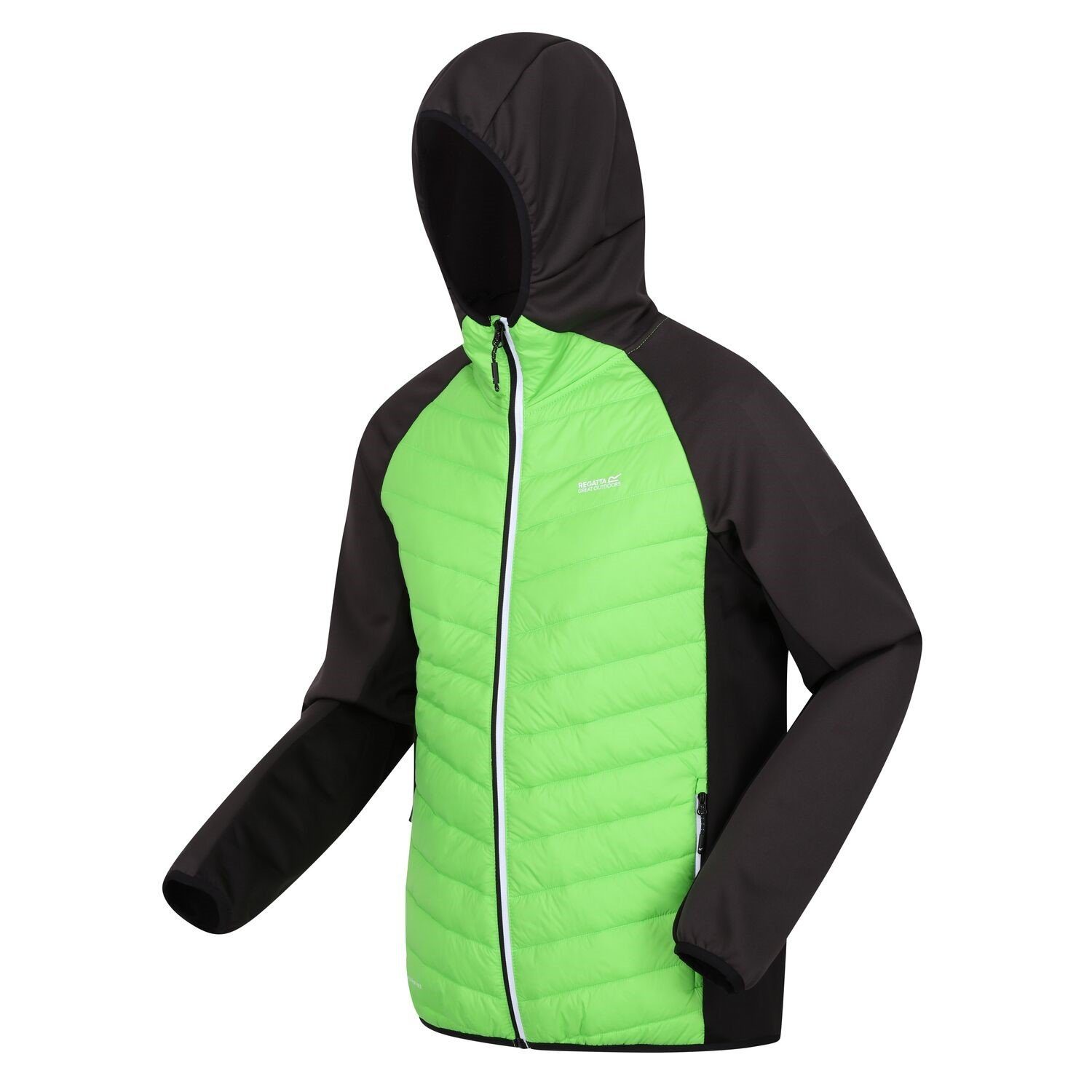 Regatta Steppjacke Softshelljacke Steppjacke Andreson VIII günstig online kaufen