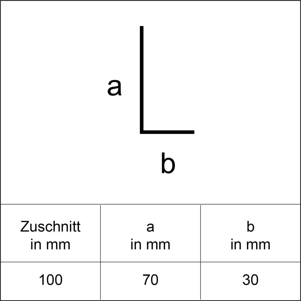 Sarei Haus- und Gartentechnik Dachdurchführung Sarei Winkelprofil HG2 1000 x 70 x 30 mm natur, Aluminium