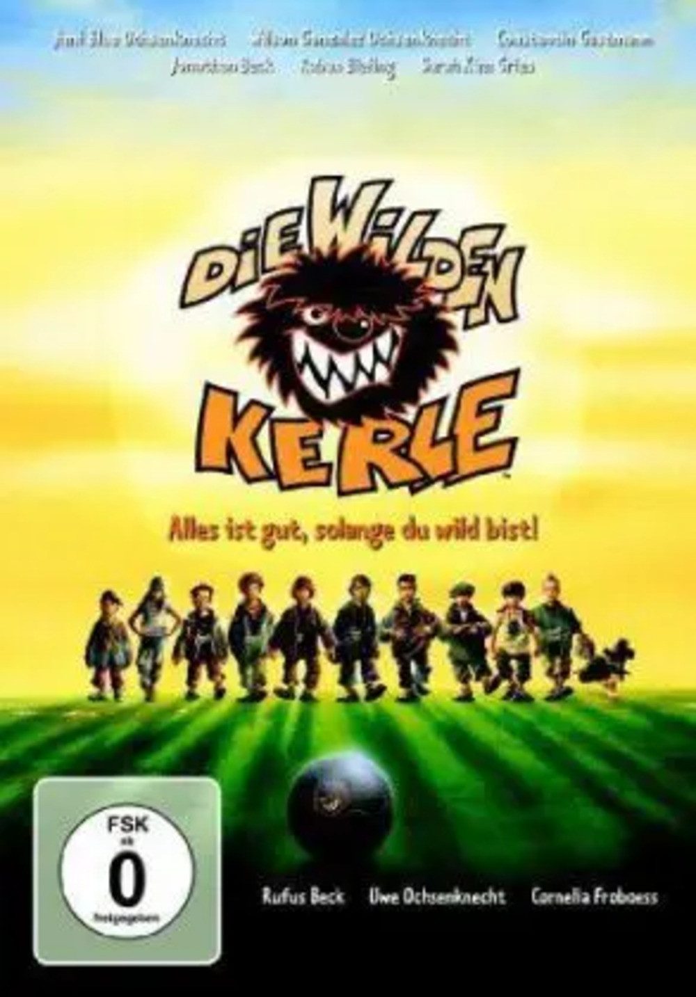 DVD Die wilden Kerle - Der Film, 1 DVD
