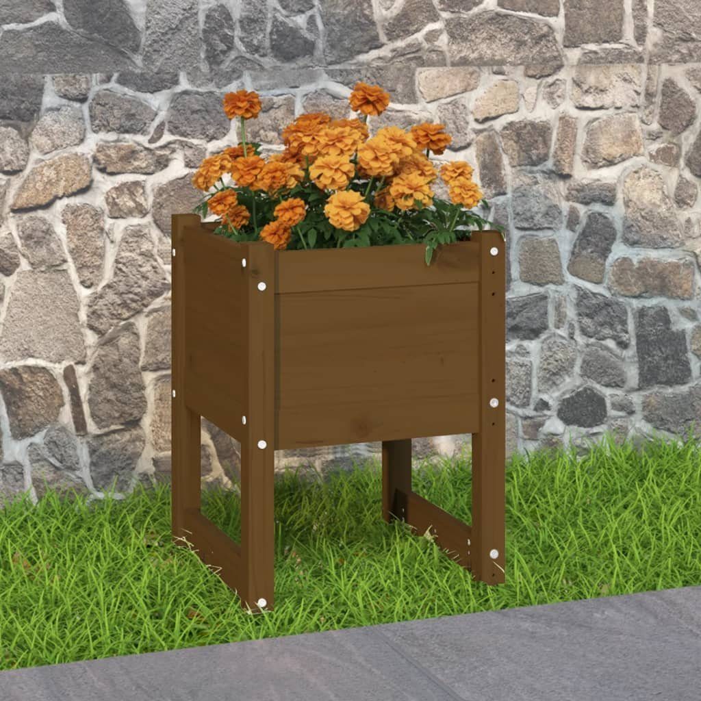 vidaXL Blumentopf Pflanzkübel Honigbraun 40x40x52,5 cm Massivholz Kiefer (1 St)