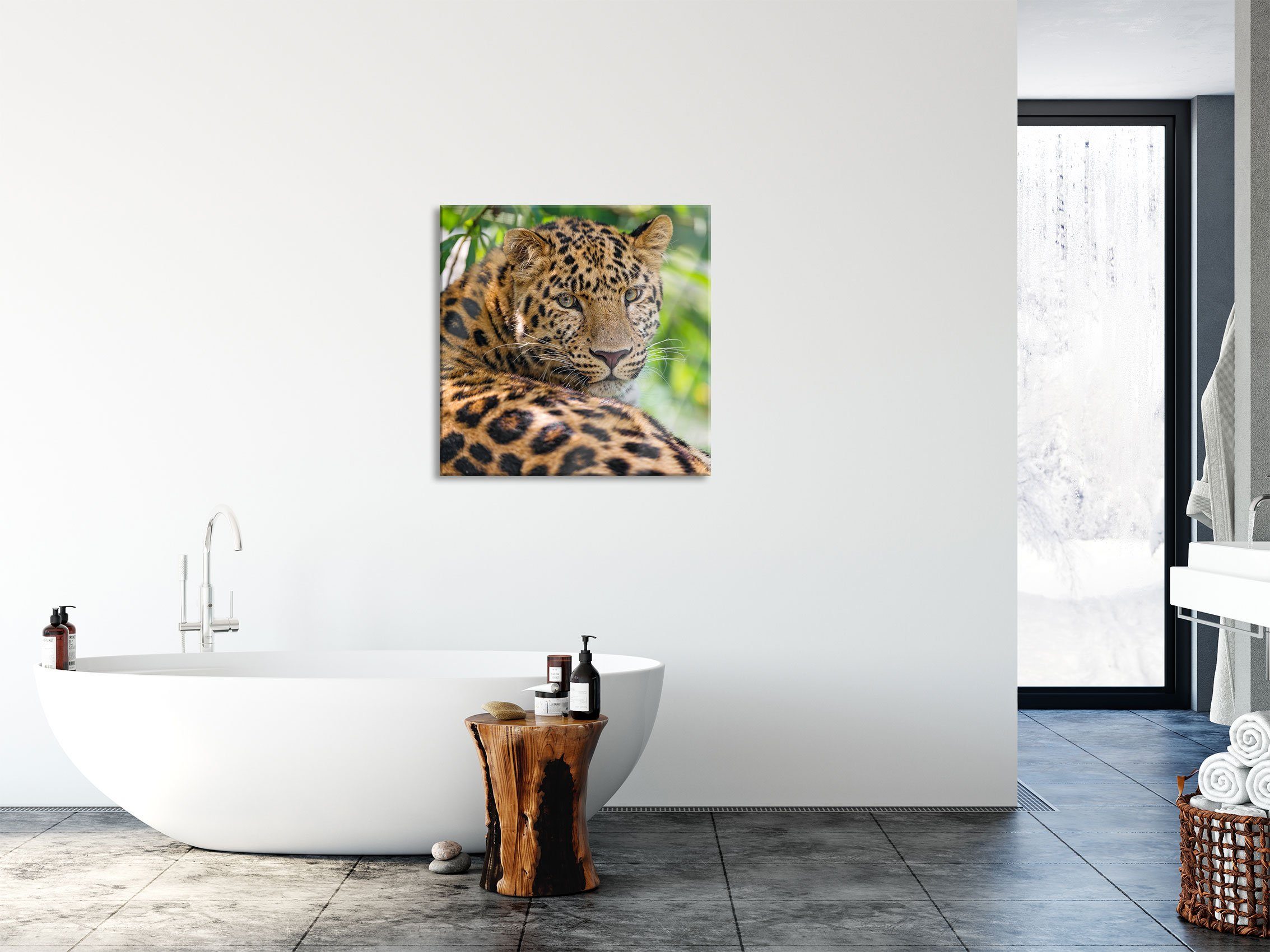 Pixxprint Glasbild Leopard aus im Schatten und Echtglas, inkl. Leopard im St), (1 aufmerksamer Schatten, aufmerksamer Abstandshalter Glasbild Aufhängungen