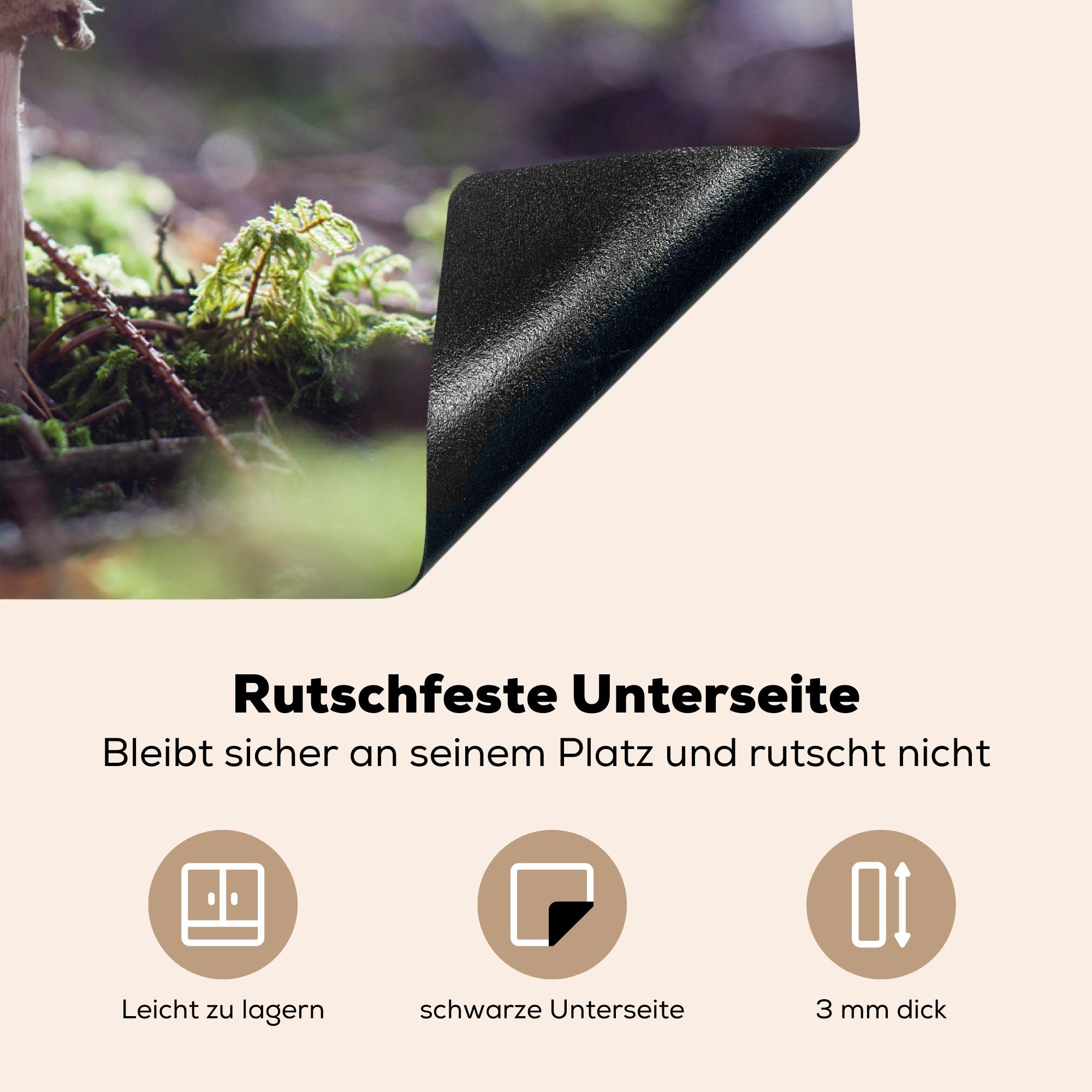 Wald, 81x52 Vinyl, einem für cm, (1 tlg), Ceranfeldabdeckung küche, MuchoWow Induktionskochfeld Schutz in Pilz die Herdblende-/Abdeckplatte