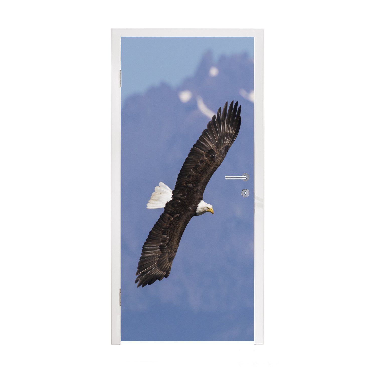 Vögel, für Türaufkleber, Matt, St), 75x205 - - Tür, Fliegen MuchoWow - Amerikanischer Türtapete (1 bedruckt, Fototapete Seeadler - Flügel Adler cm