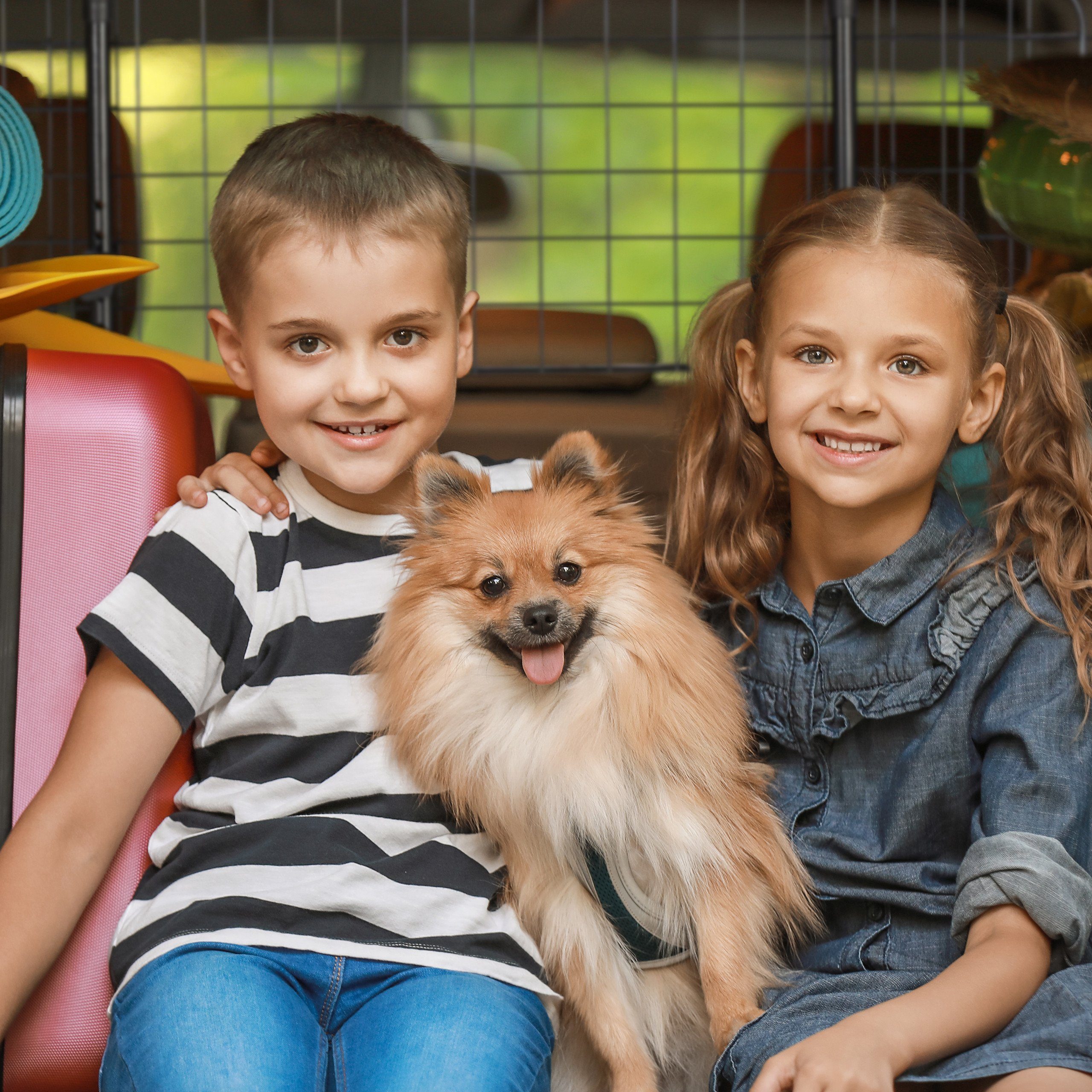 relaxdays Trenngitter Hundegitter Auto Universal – Bild 5 von 5