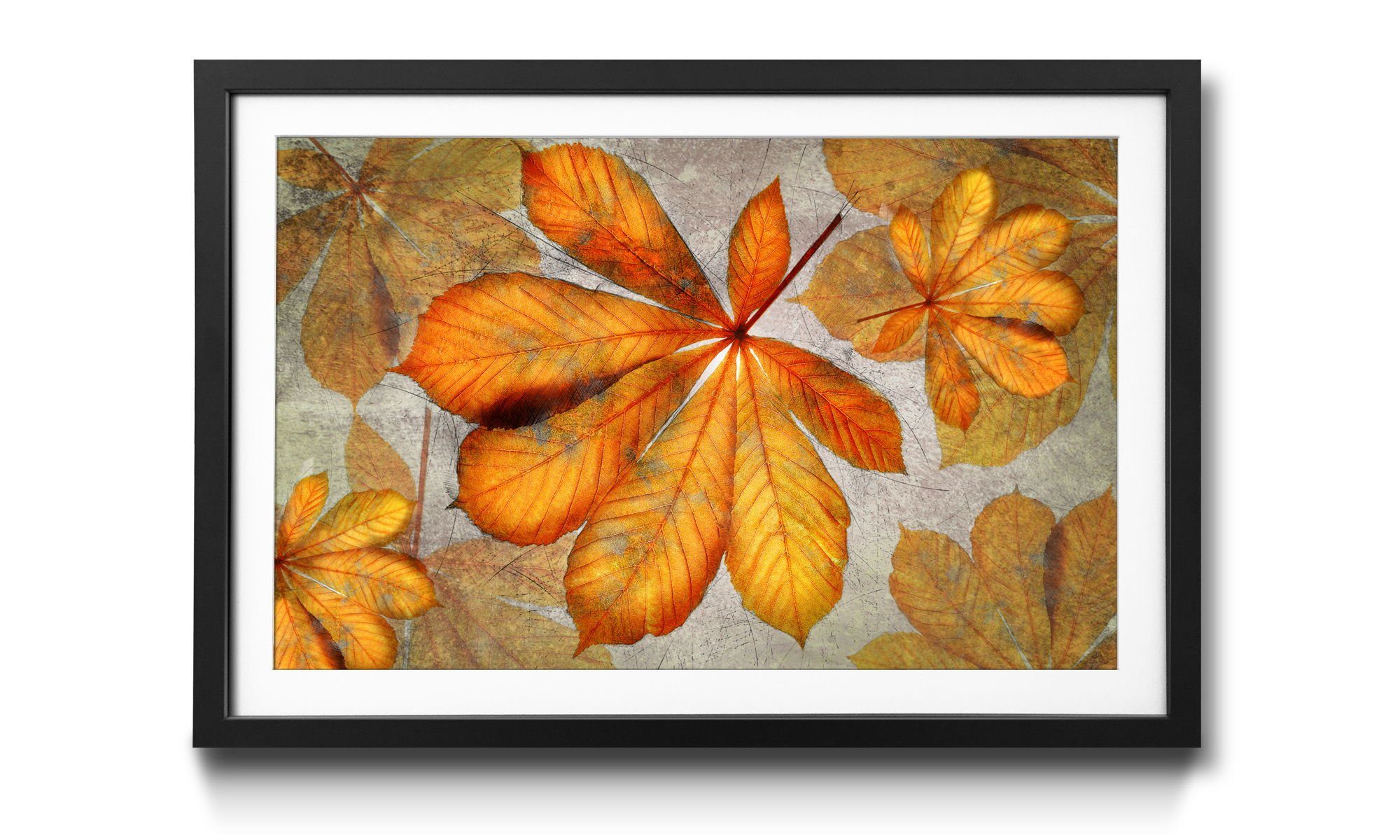 erhältlich WandbilderXXL Wandbild, Rahmen Blätter, Größen in Beautiful mit Bild 4 Fall,