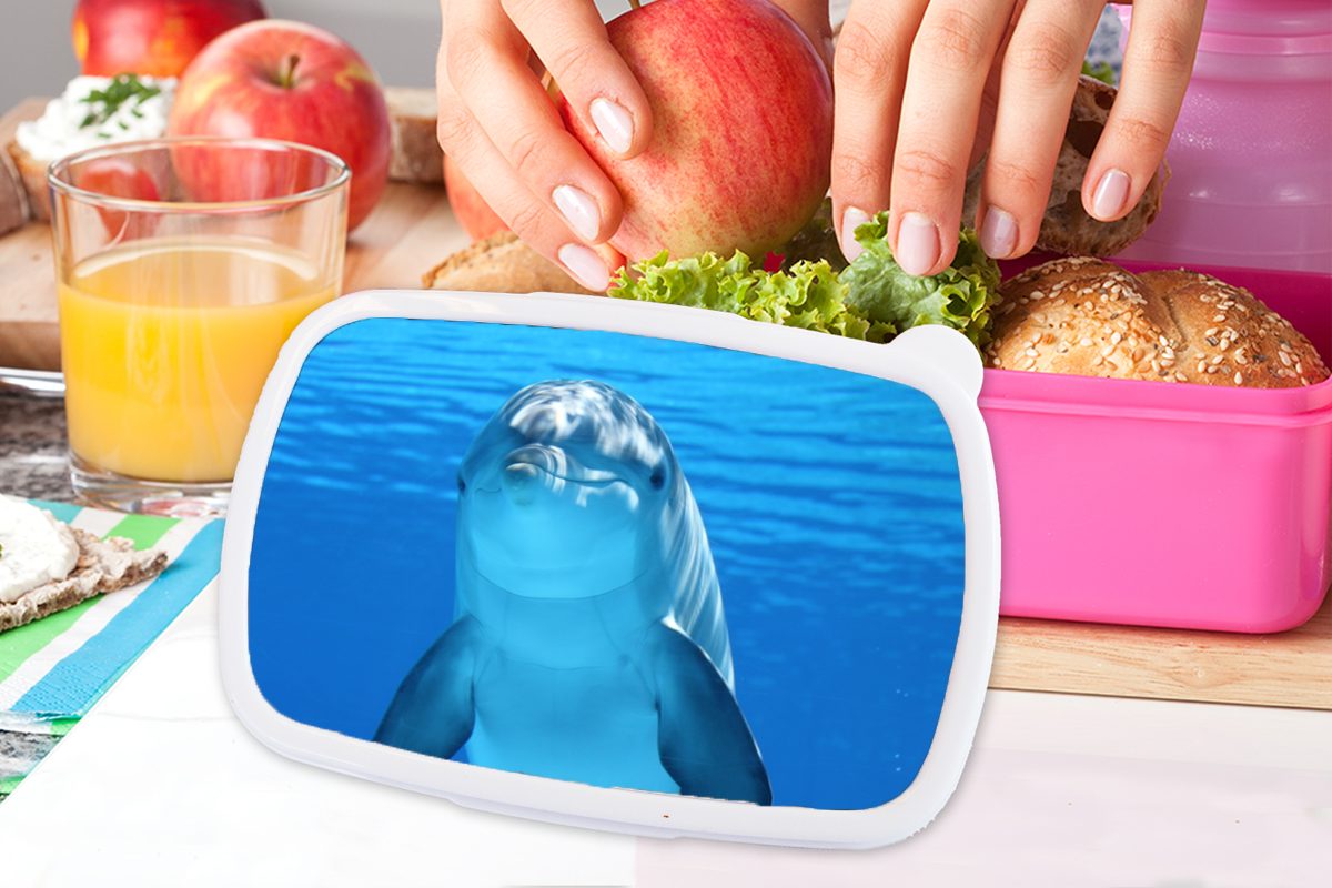 MuchoWow Lunchbox Wasser Blau, rosa Brotbox Brotdose Kinder, Delfin für Erwachsene, Kunststoff, - Mädchen, Snackbox, - Kunststoff (2-tlg)
