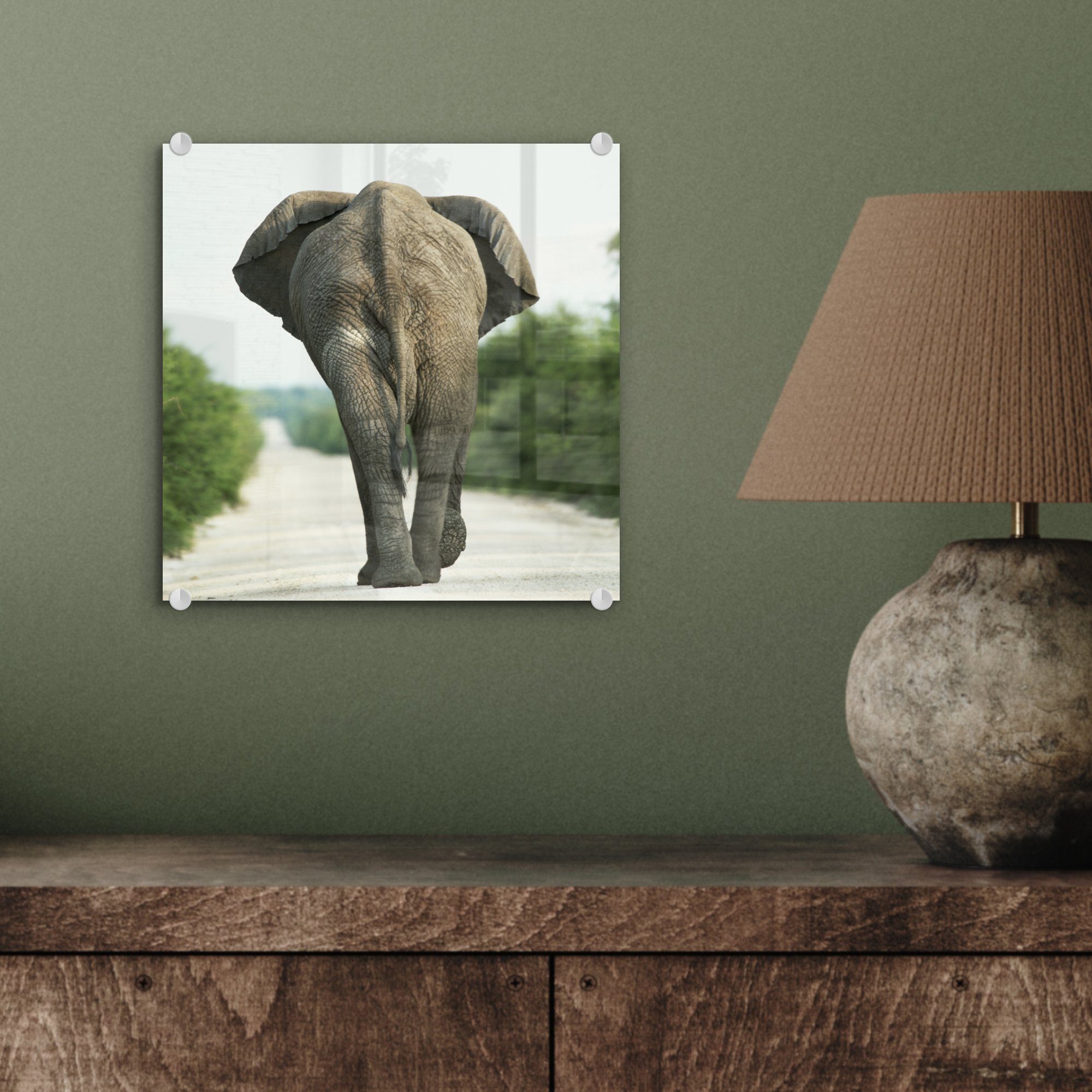 MuchoWow Acrylglasbild Elefant - Kröte Natur, - Glas - - Wandbild auf auf Bilder - Glas (1 - Foto Tiere Glasbilder Wanddekoration St)