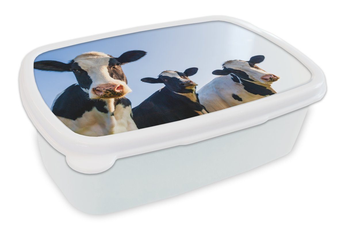 - Mädchen Makro, Blau - - Kinder (2-tlg), und Brotbox Lunchbox Kuh Jungs für MuchoWow Tiere Brotdose, für Kunststoff, weiß und Erwachsene,