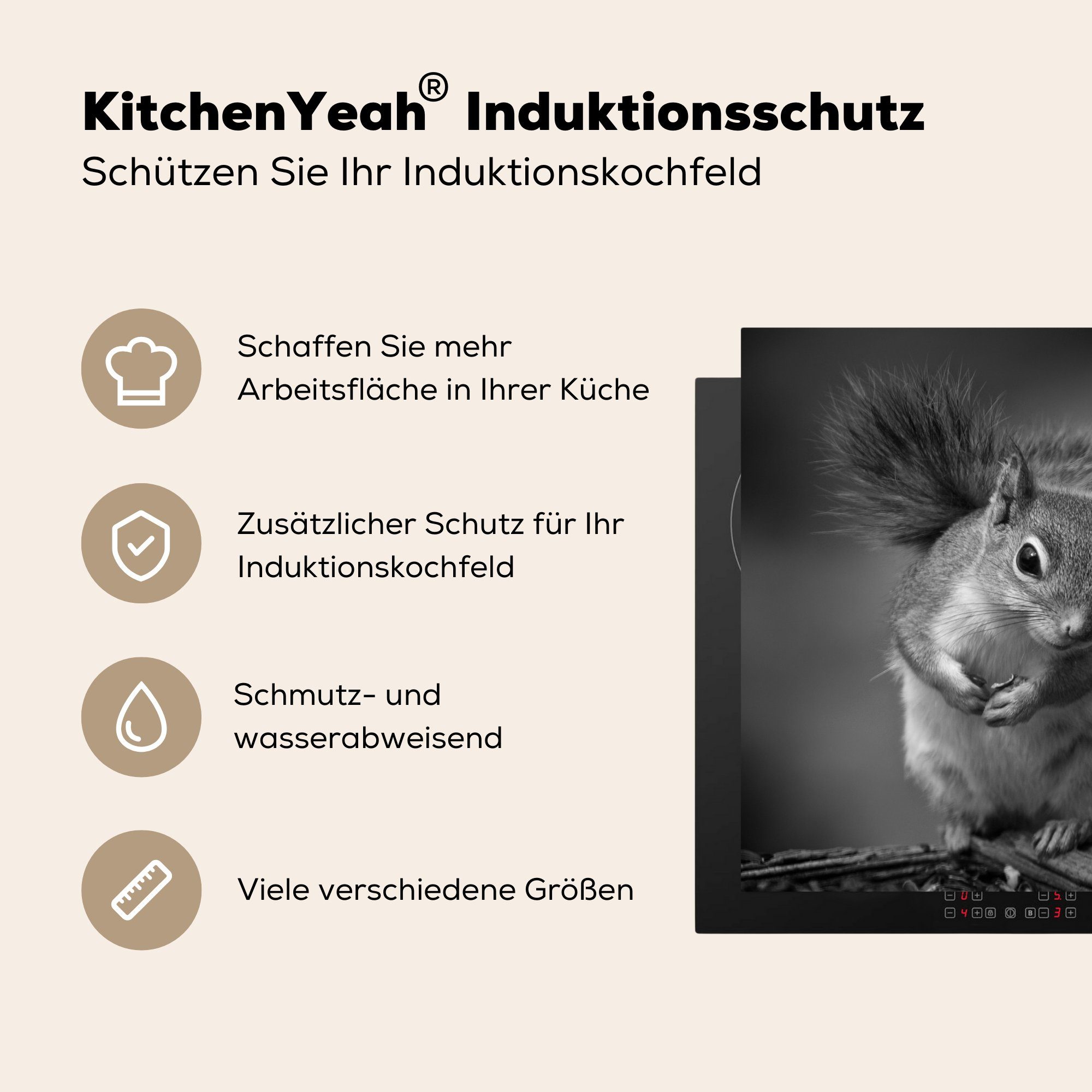 MuchoWow Herdblende-/Abdeckplatte Neugieriges 78x78 Schwarz und Arbeitsplatte Weiß, Eichhörnchen für Ceranfeldabdeckung, küche in Vinyl, (1 cm, tlg)