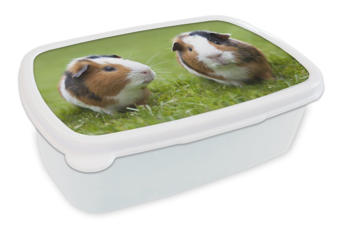 Zwei weiß für und Lunchbox Kinder und Kunststoff, (2-tlg), Meerschweinchen, für Brotbox Mädchen Brotdose, MuchoWow Erwachsene, Jungs