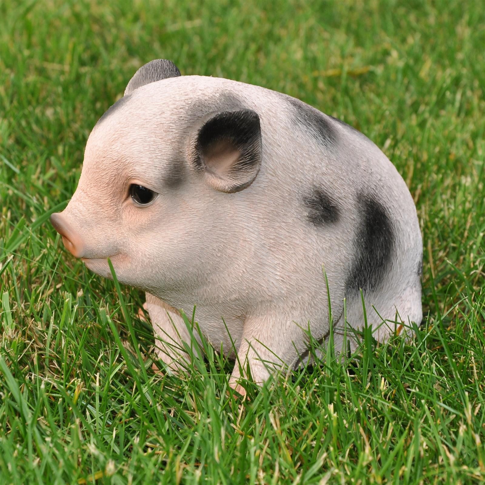 dazikemo Gartenfigur Dekofigur Gartenfigur Schwein / Ferkel günstig online kaufen