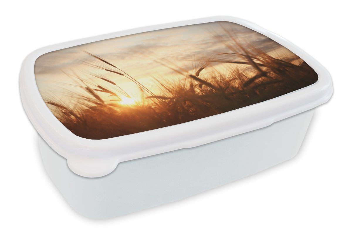 MuchoWow Lunchbox Schilf - Gras - Sonnenuntergang - Natur - Horizont, Kunststoff, (2-tlg), Brotbox für Kinder und Erwachsene, Brotdose, für Jungs und Mädchen weiß