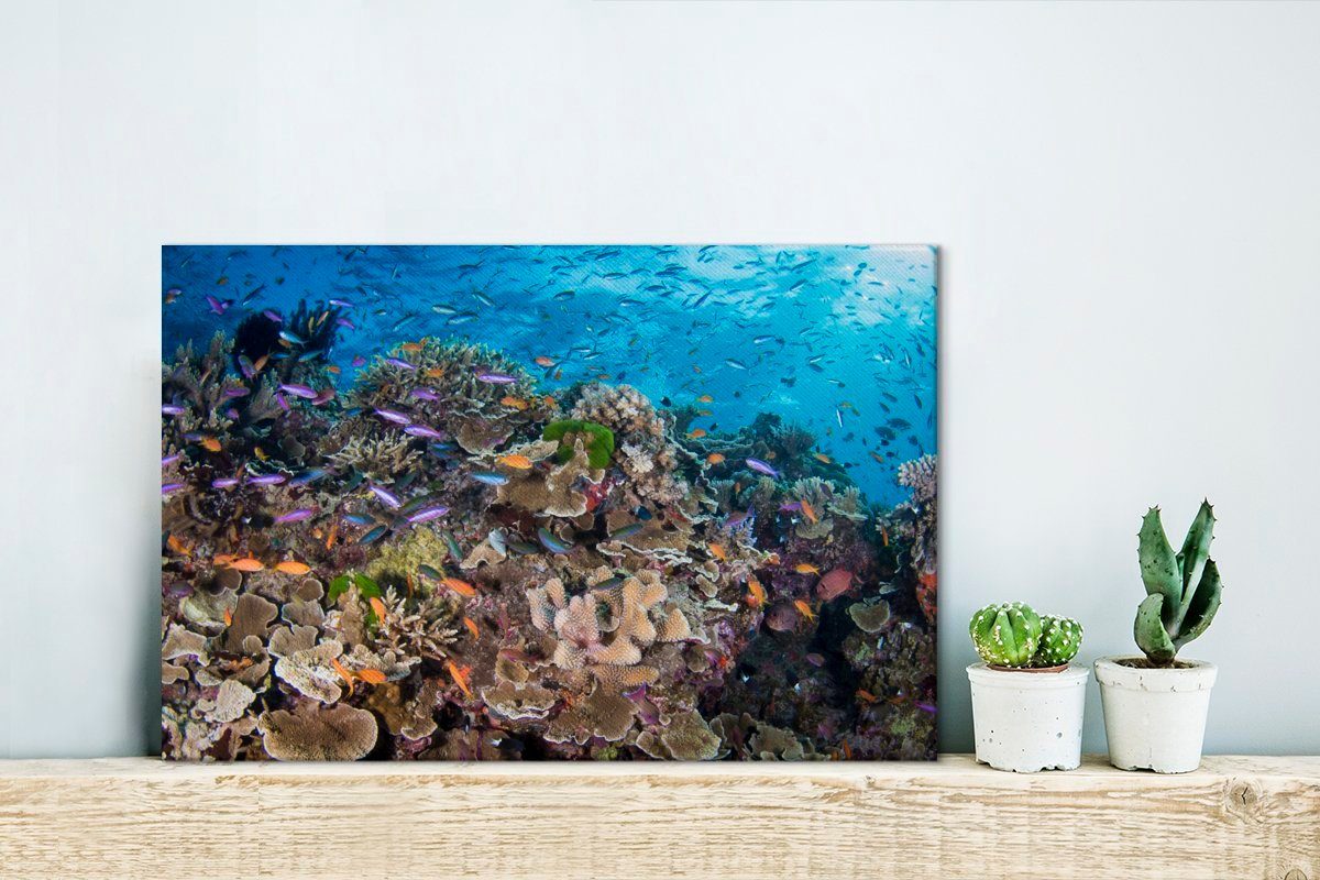 Leinwandbild OneMillionCanvasses® Leinwandbilder, cm Great St), Reef, 30x20 (1 am Barrier Maritimes Aufhängefertig, Leben Wandbild Wanddeko,