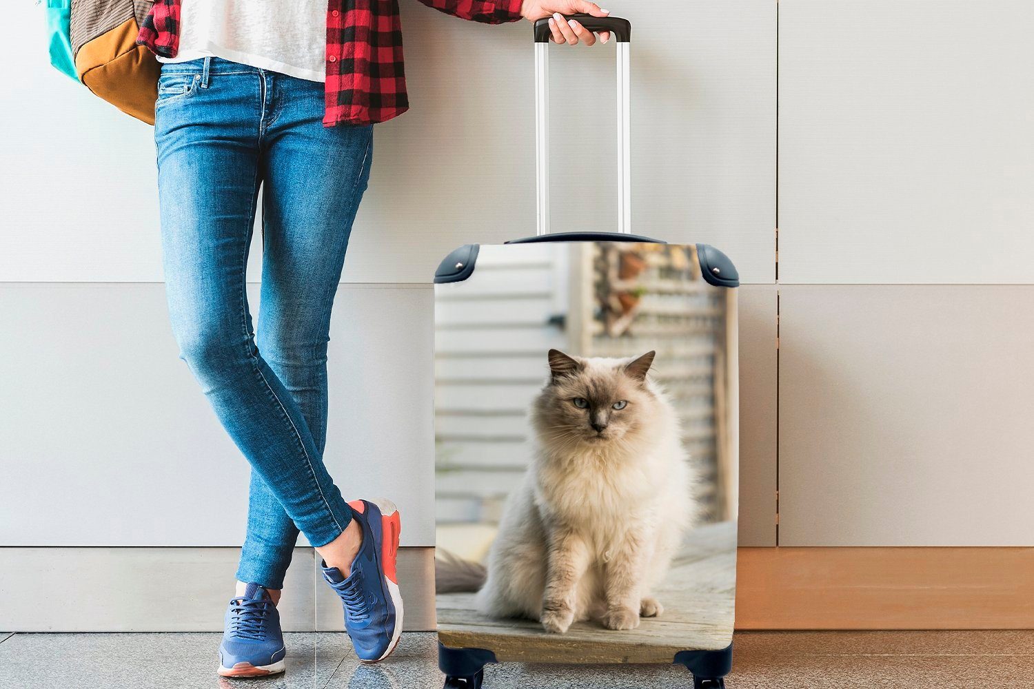 MuchoWow Handgepäckkoffer Ragdoll-Katze an rollen, Ferien, Handgepäck Luft, mit Rollen, 4 Trolley, frischen Reisetasche der für Reisekoffer