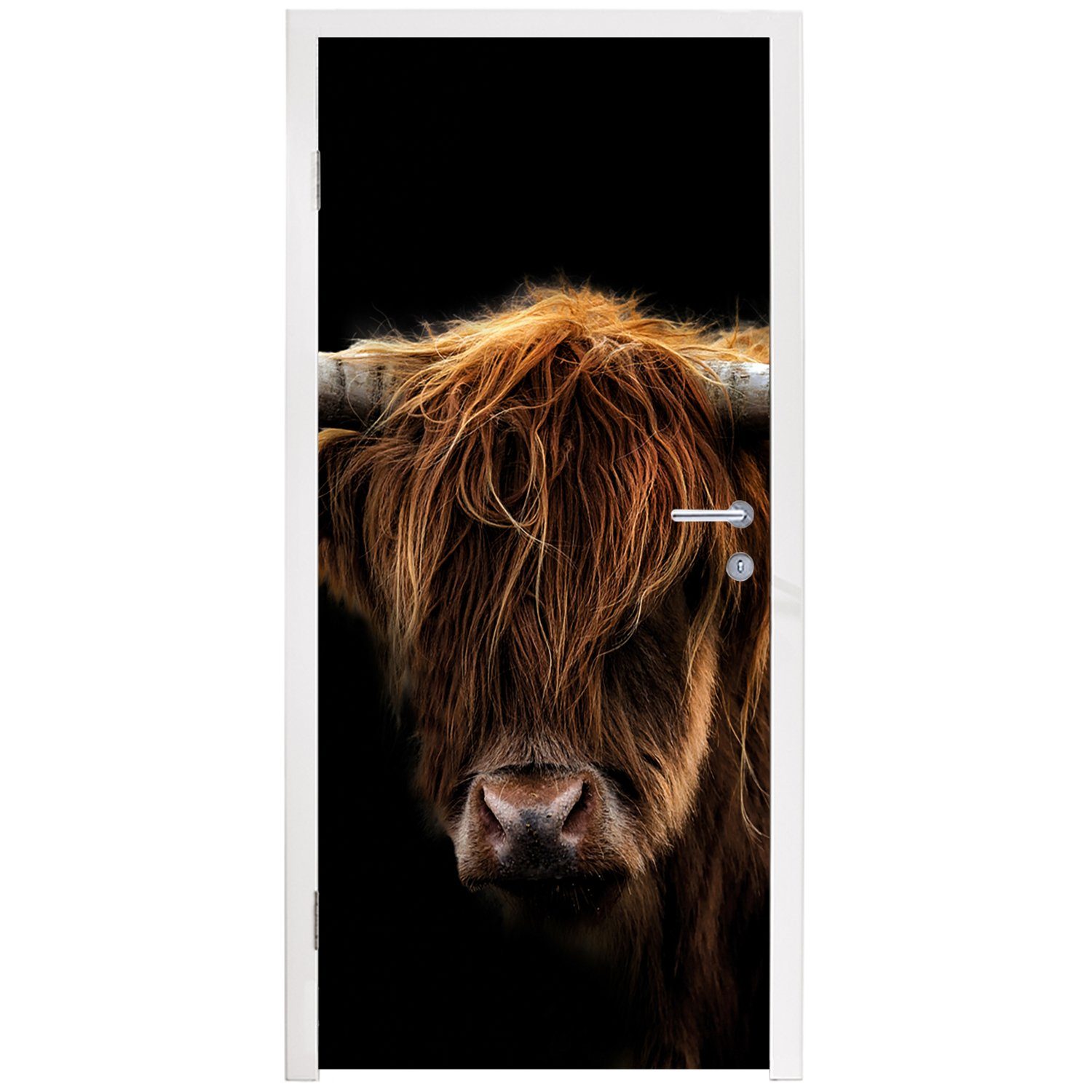 Highlander Fototapete Schwarz Hörner Wild - Natur 75x205 bedruckt, Türaufkleber, cm - für Tiere St), Türtapete -, Matt, Schottischer - - MuchoWow Tür, - (1