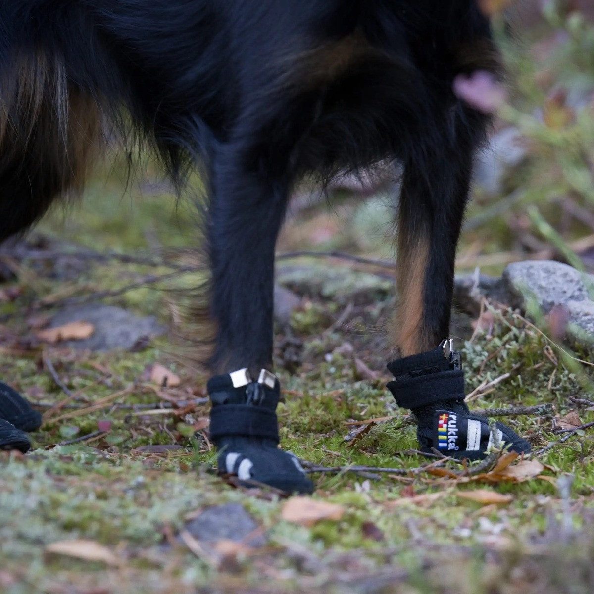 Rukka Pfotenschutz Hundeschuhe Step Shoes schwarz