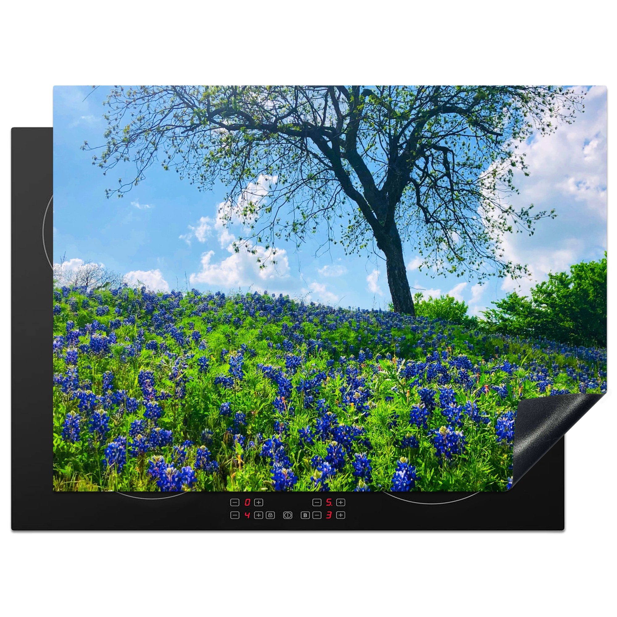 MuchoWow Herdblende-/Abdeckplatte Feld mit Texas Bluebonnet-Blüten im Frühling, Vinyl, (1 tlg), 71x52 cm, Induktionskochfeld Schutz für die küche, Ceranfeldabdeckung