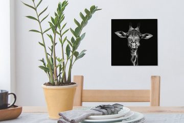 OneMillionCanvasses® Leinwandbild Giraffe - Porträt - Tiere - Schwarz - Weiß, (1 St), Leinwand Bilder für Wohnzimmer Schlafzimmer