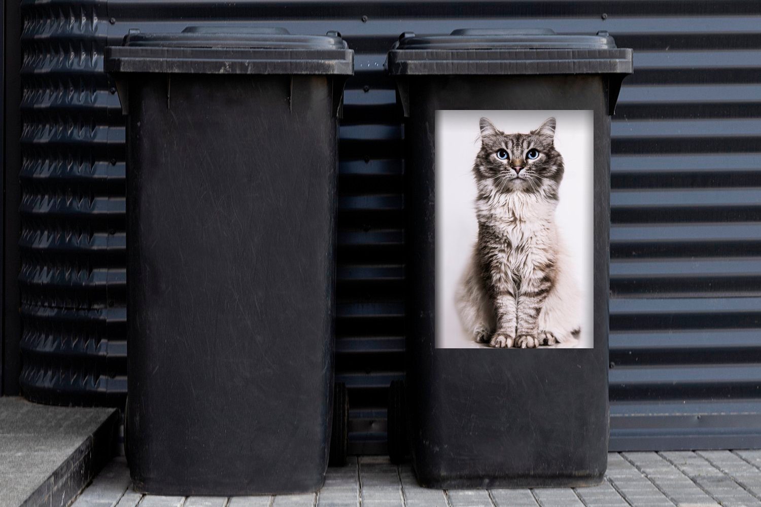 Abfalbehälter Augen Hintergrund weißem Wandsticker Katze MuchoWow blauen Container, auf mit Mülleimer-aufkleber, Mülltonne, (1 St), Sticker,