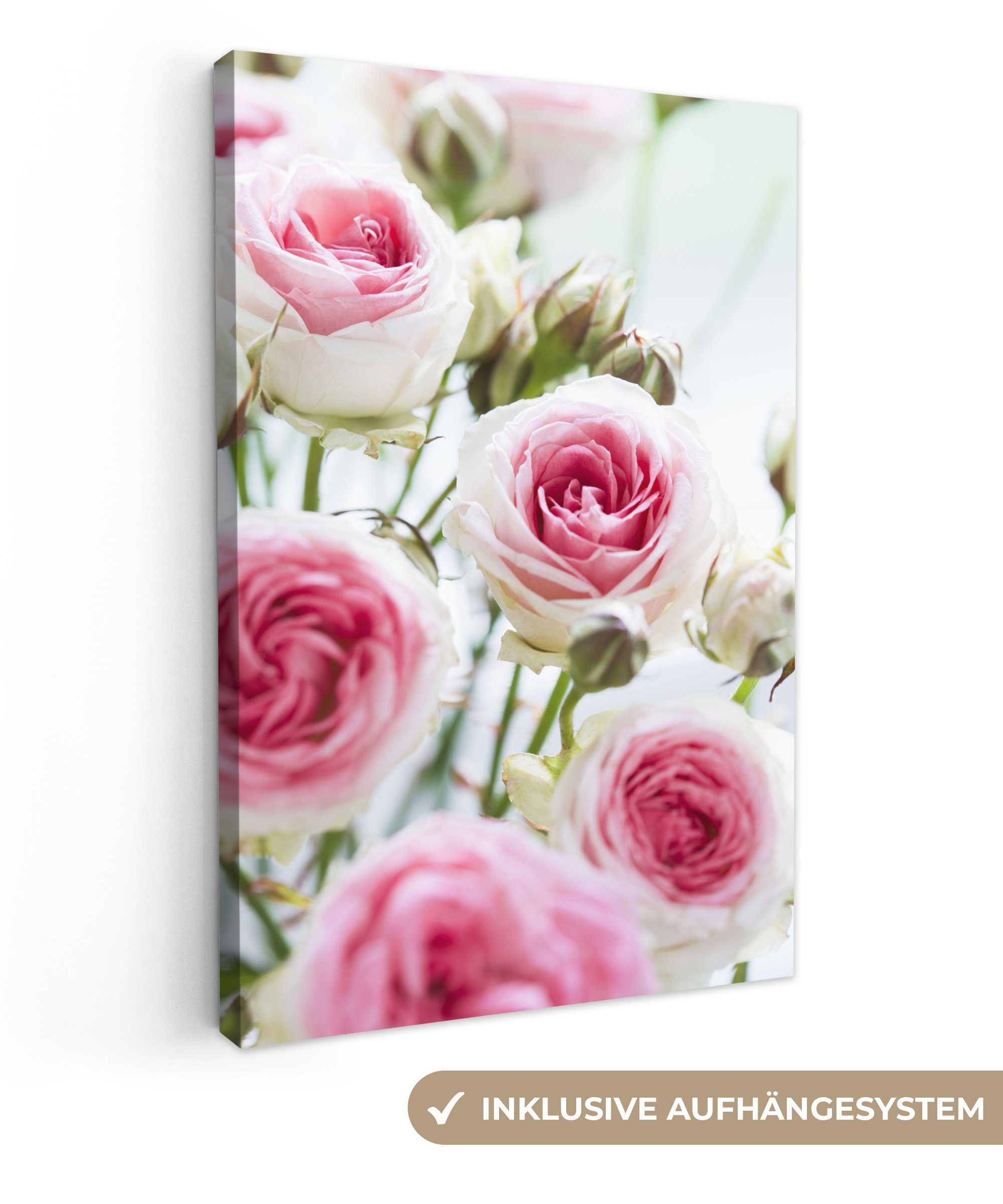 OneMillionCanvasses® Leinwandbild Nahaufnahme von blühenden rosa Rosen, (1 St), Leinwandbild fertig bespannt inkl. Zackenaufhänger, Gemälde, 20x30 cm