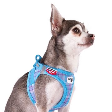 Curli Hunde-Geschirr Clasp Vest Geschirr Air-Mesh Special Edition Aqua-Caro