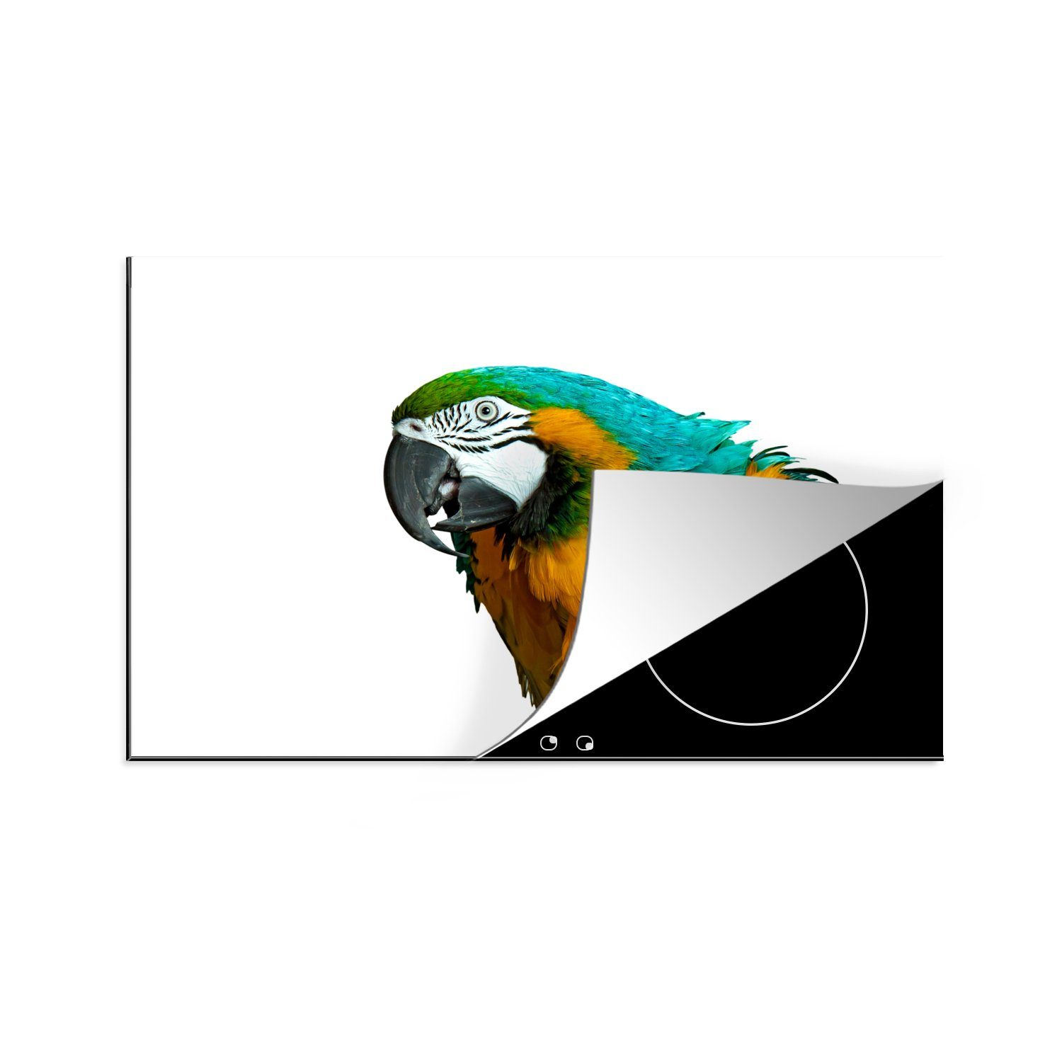 MuchoWow Herdblende-/Abdeckplatte Papagei - Vogel - Federn - Porträt, Vinyl, (1 tlg), 81x52 cm, Induktionskochfeld Schutz für die küche, Ceranfeldabdeckung