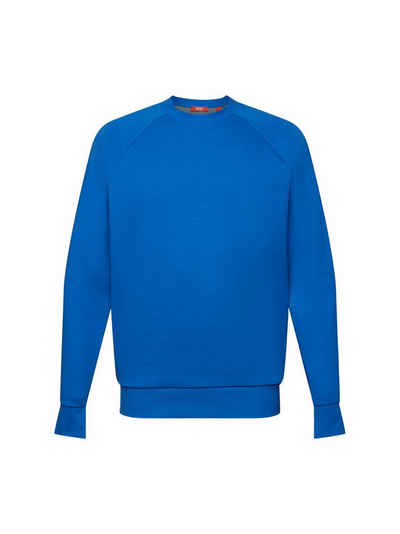 Esprit Collection Sweatshirt Klassisches Sweatshirt, Baumwollmix (1-tlg)