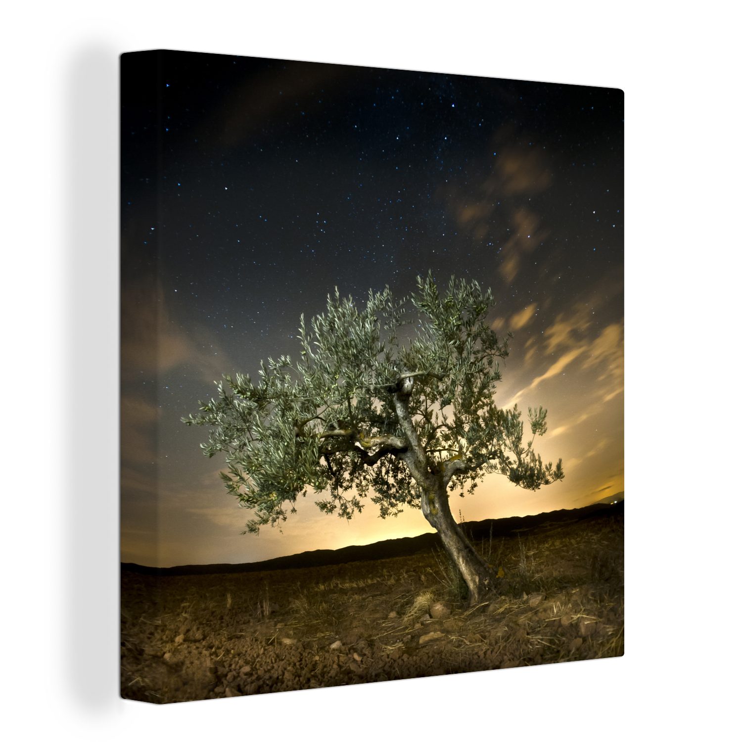 OneMillionCanvasses® Leinwandbild Ein Olivenbaum unter einem beeindruckenden Himmel, (1 St), Leinwand Bilder für Wohnzimmer Schlafzimmer
