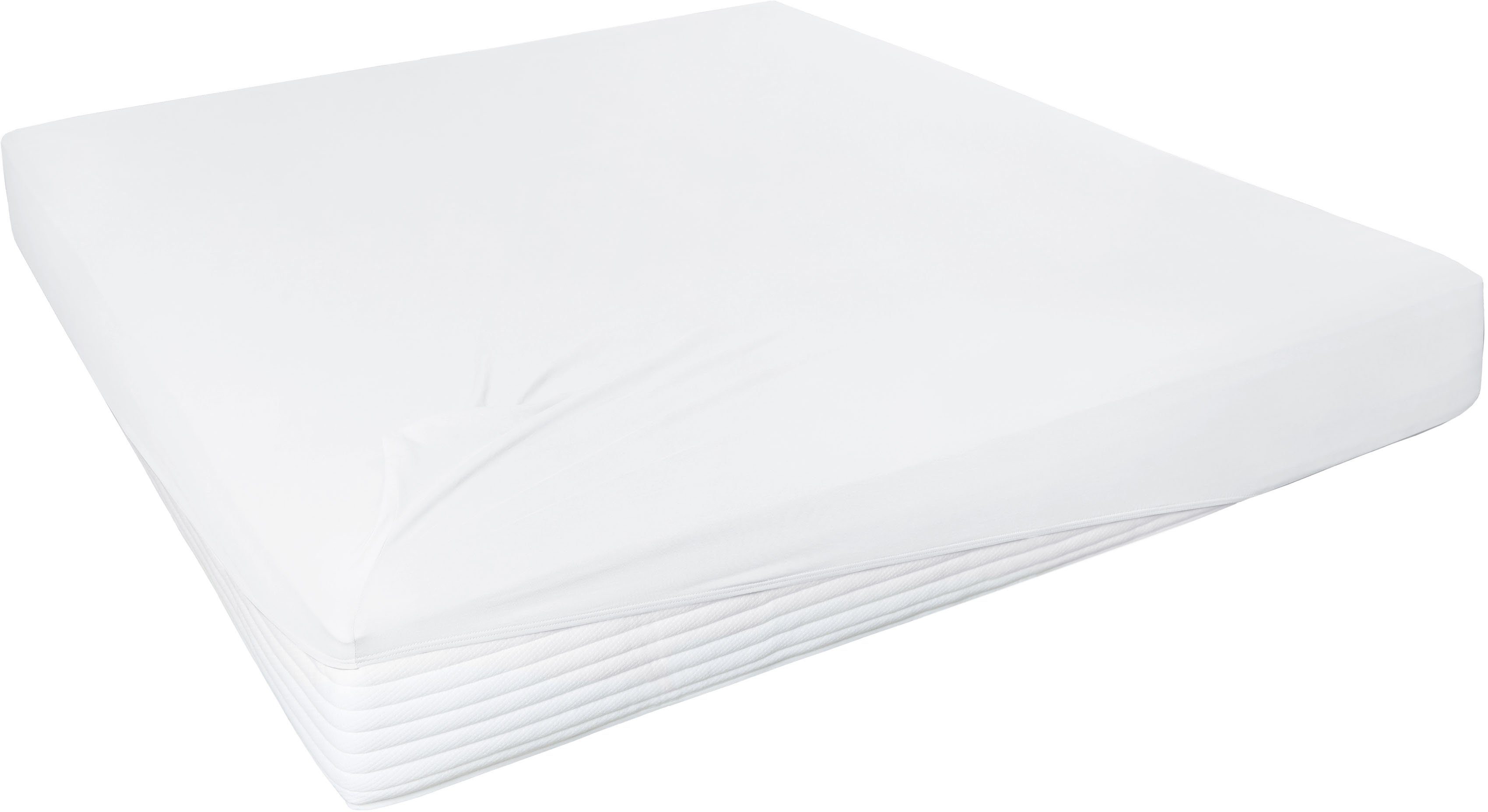 Primera Spannbettlaken Elasthan-Feinjersey, Jersey-Elasthan, Gummizug: rundum, (1 Stück), PREMIUM, aus 95% gekämmter Baumwolle und 5% Elasthan, bis 28 cm Höhe