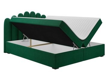MIRJAN24 Boxspringbett Boss (mit Hauptmatratze, Topper), 140/160/180 cm, Doppelbett mit zwei Bettkästen für die Bettwäsche