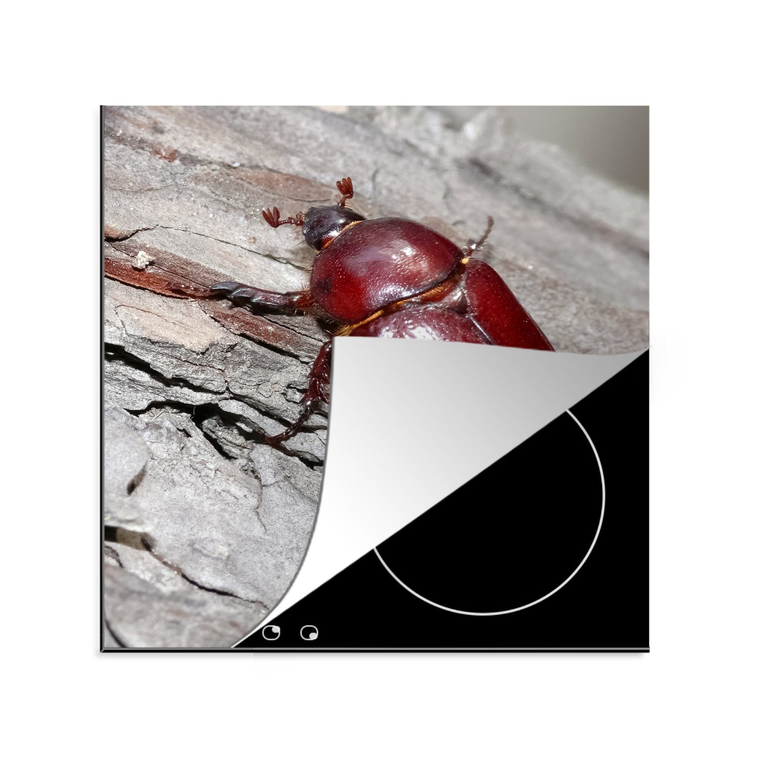 MuchoWow Herdblende-/Abdeckplatte Käfer - Rot - Baum, Vinyl, (1 tlg), 78x78 cm, Ceranfeldabdeckung, Arbeitsplatte für küche | Herdabdeckplatten