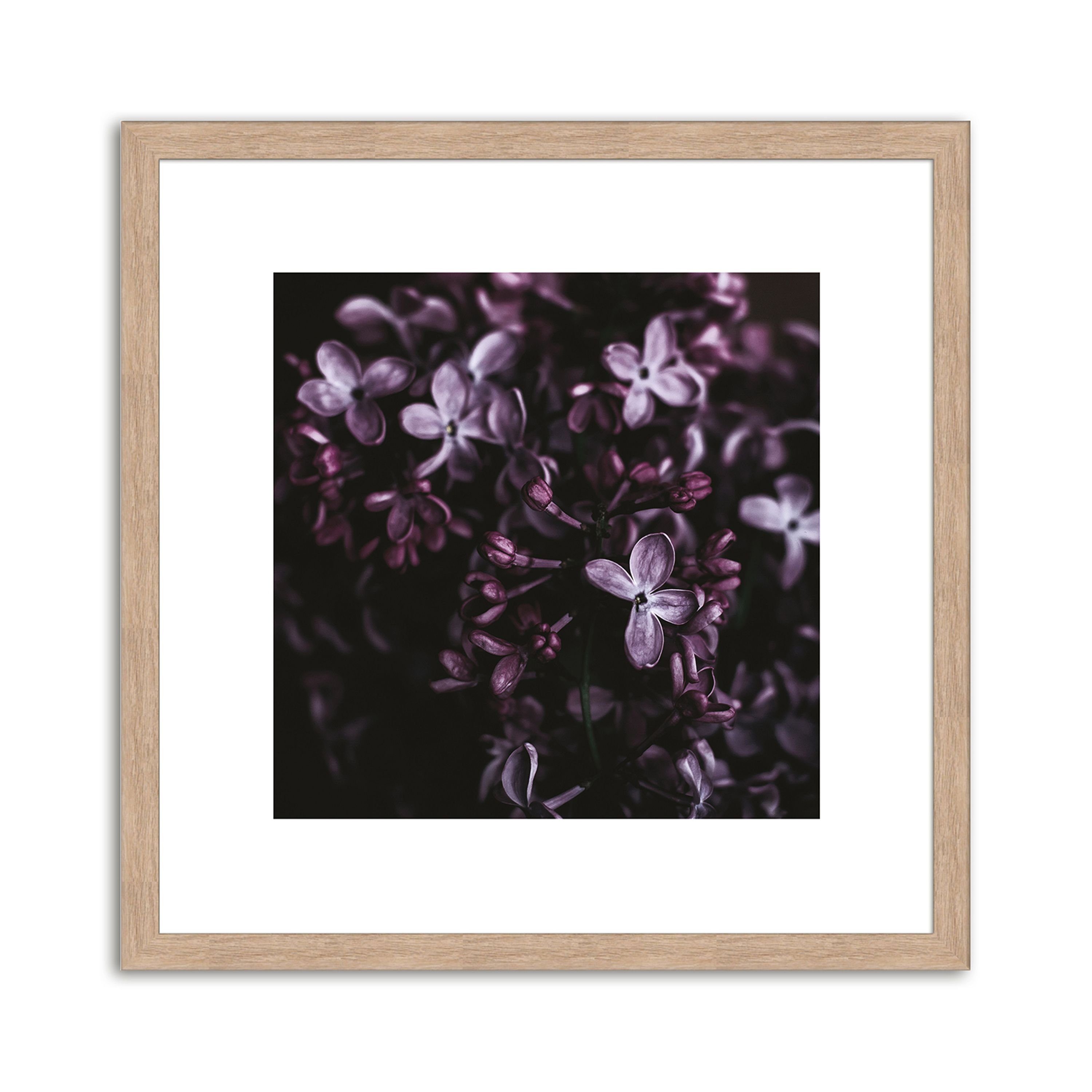 artissimo Bild mit Rahmen Bild gerahmt 30x30cm / Design-Poster inkl. Holz-Rahmen / Wandbild, Blumen: Lila Blüten III