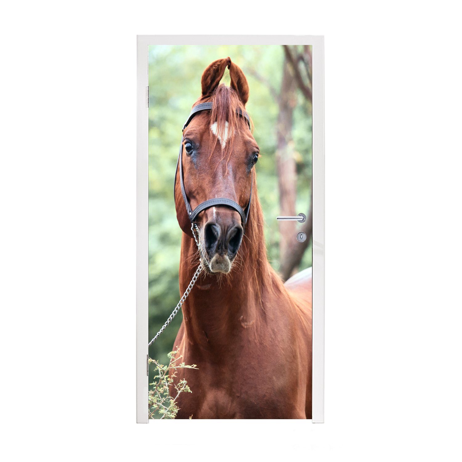 MuchoWow Türtapete Pferd - Wald - Halfter, Matt, bedruckt, (1 St), Fototapete für Tür, Türaufkleber, 75x205 cm