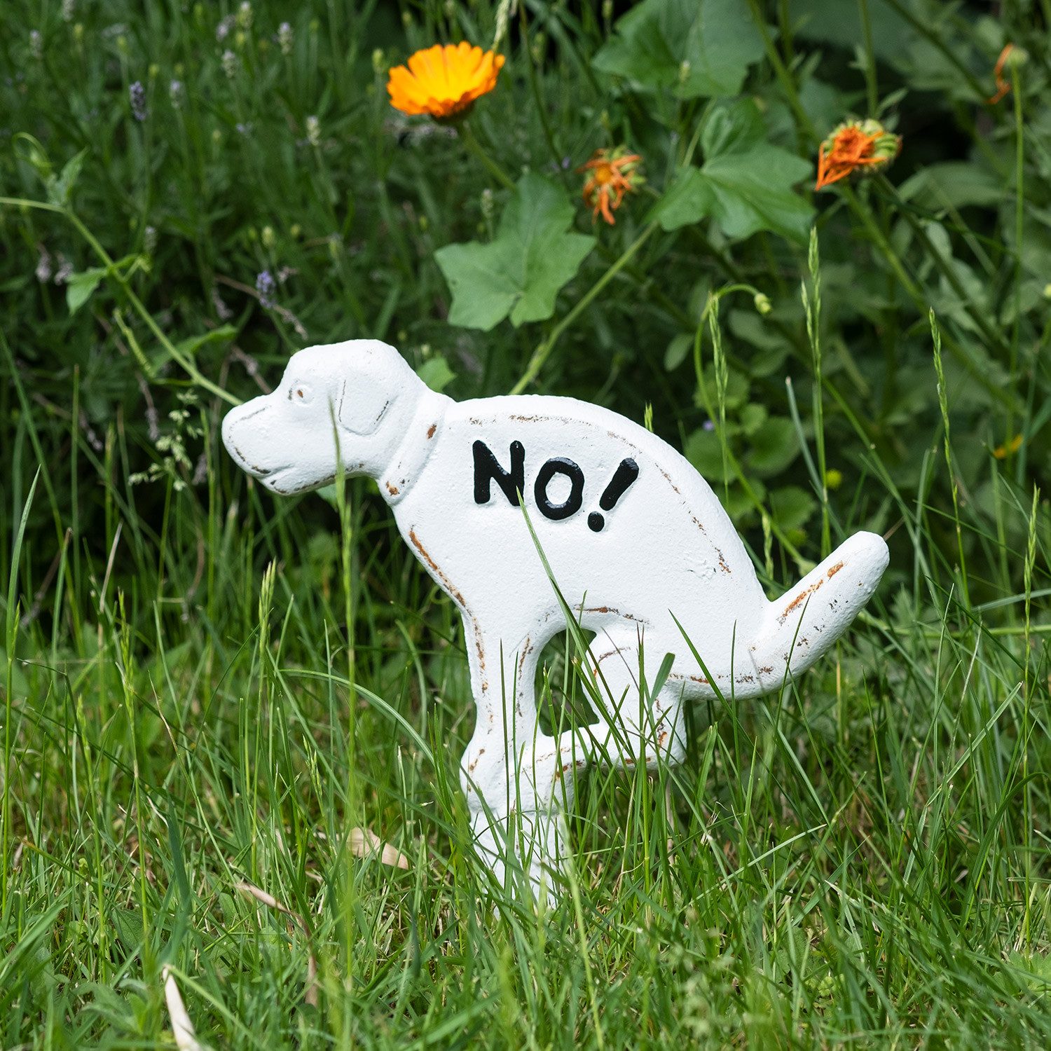Moritz Hinweisschild NO! kein Hundeklo groß, (Einzeln), Steckschild Verboten Schild Warnschild Hinweis