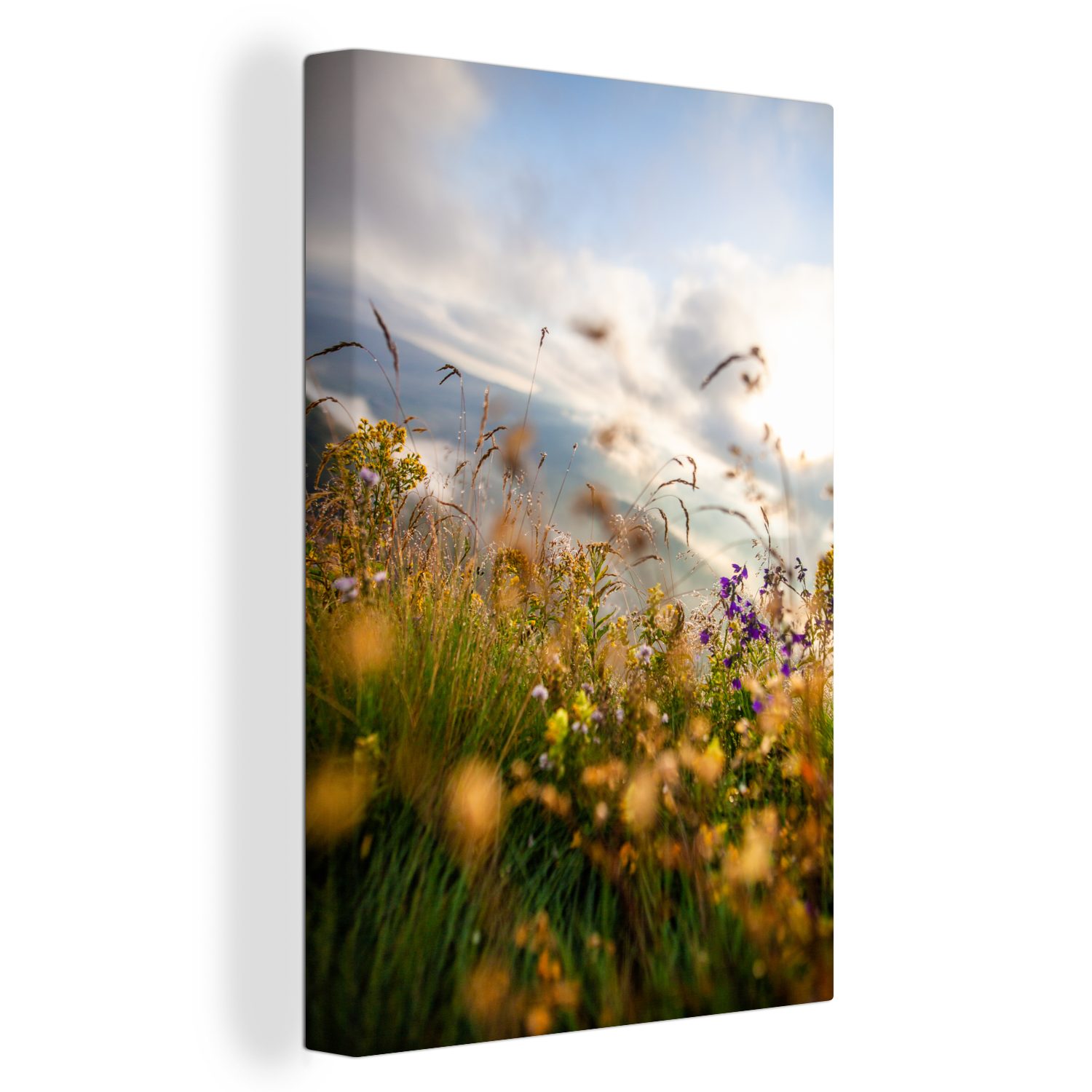 Draußen Zackenaufhänger, inkl. Wilde Leinwandbild cm St), Gemälde, fertig OneMillionCanvasses® Gras, 20x30 Blumen bespannt - Leinwandbild - (1