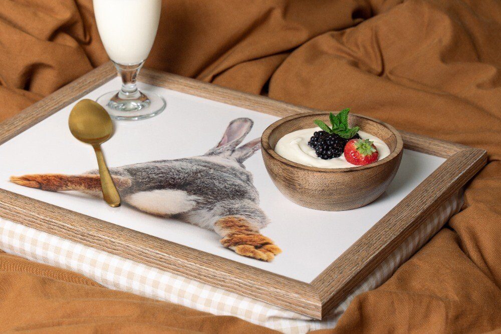 More Kaninchen gestreckt & More humorvollem Mit Knietablett Mars Laptop Motiv Mars Grau Beige, & Tablett Braun