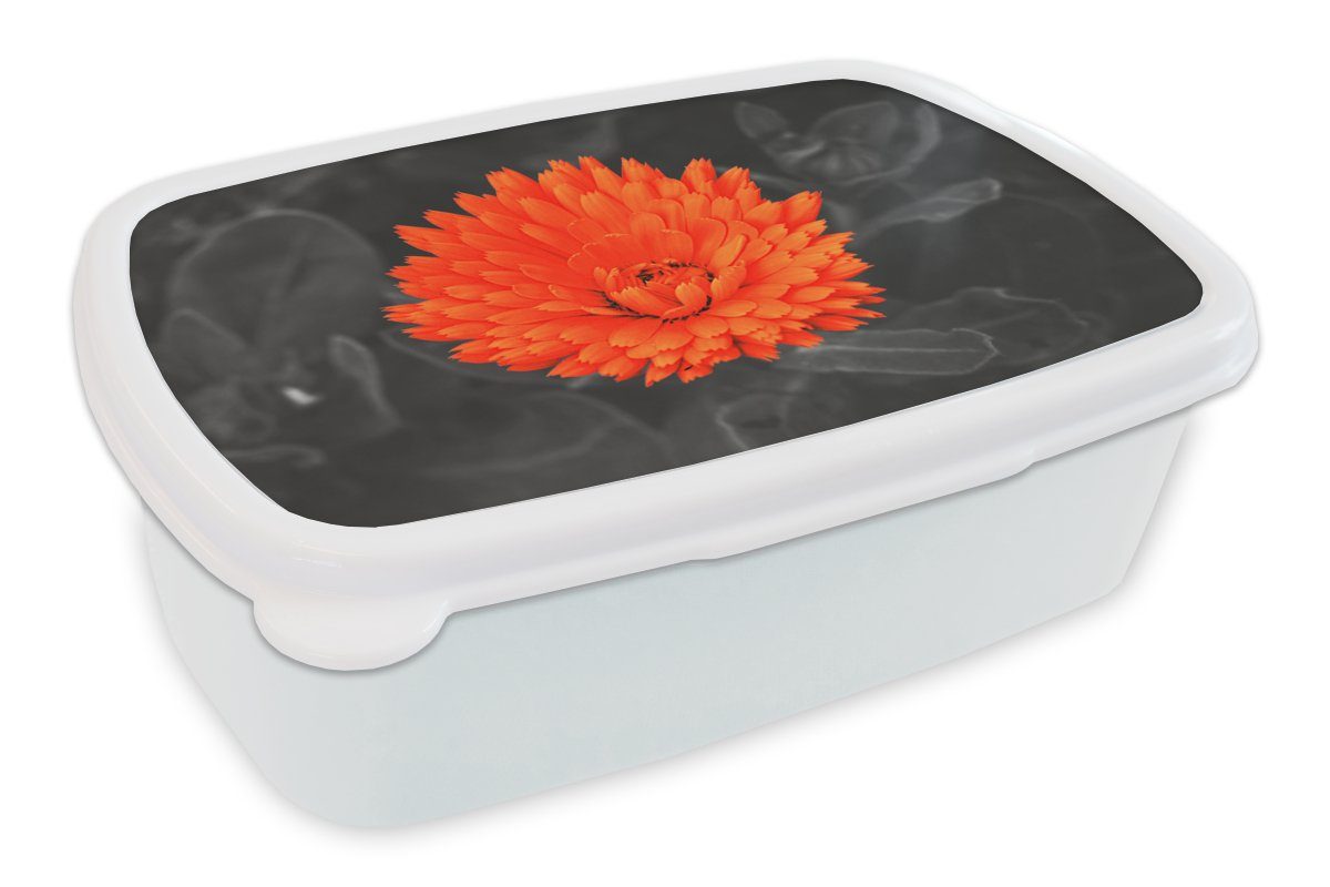 MuchoWow Lunchbox Blumen - Orange - Schwarz - Weiß, Kunststoff, (2-tlg), Brotbox für Kinder und Erwachsene, Brotdose, für Jungs und Mädchen