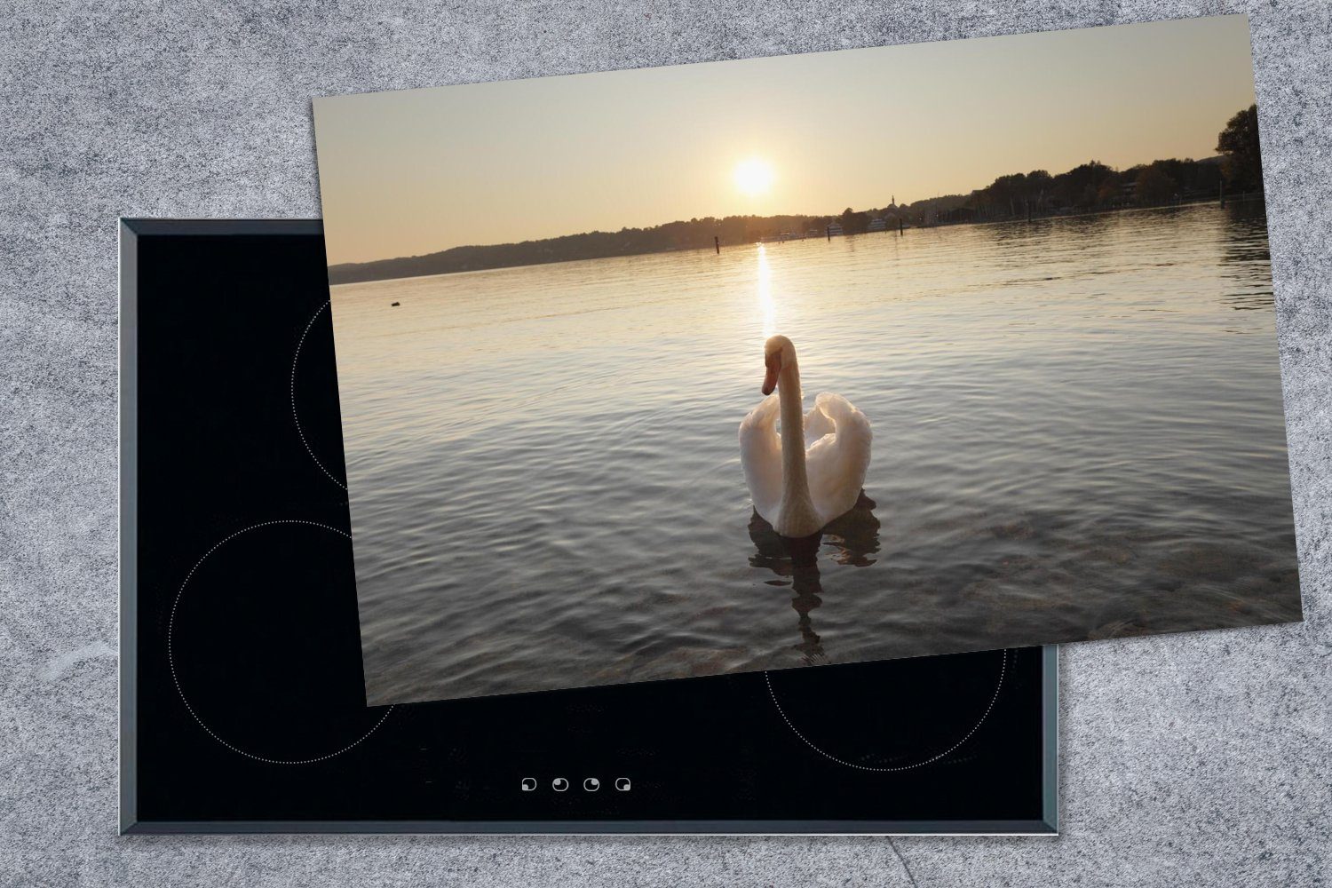 cm, Sonnenuntergang 81x52 - Induktionskochfeld Vinyl, die (1 Wasser, Herdblende-/Abdeckplatte - Schwan küche, Schutz Ceranfeldabdeckung für MuchoWow tlg),