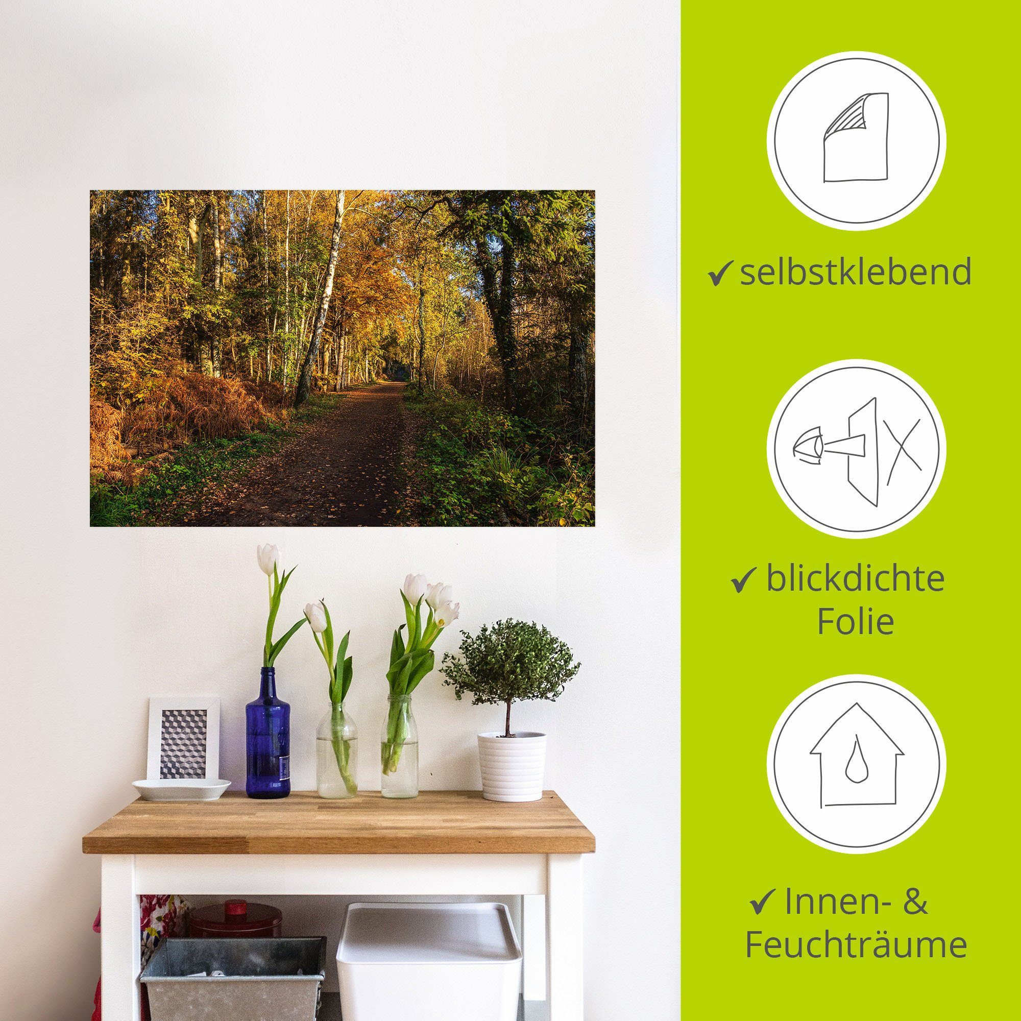 Artland Wandbild Bäume auf (1 dem Waldbilder oder Fischland-Darß, Leinwandbild, Alubild, Poster St), als Größen in herbstlich Wandaufkleber versch