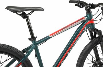 Bikestar Mountainbike, 21 Gang Shimano RD-TY300 Schaltwerk, Kettenschaltung, für Damen und Herren, Kettenschaltung