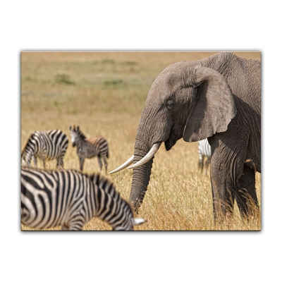 Bilderdepot24 Leinwandbild Afrika (Zebra und Elefant), Tiere