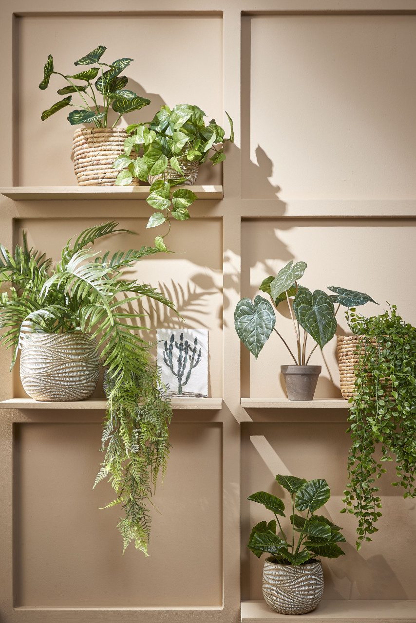 Kunstpflanze Mica künstlicher Pothos grün im Topf 44 x 17 cm, Mica Decorati günstig online kaufen