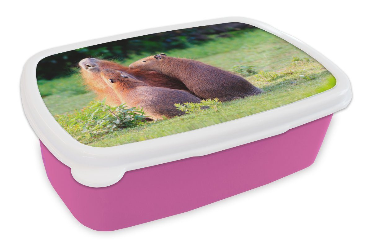 MuchoWow Lunchbox Eine Familie von Wasserschweinen in einer Grünanlage, Kunststoff, (2-tlg), Brotbox für Erwachsene, Brotdose Kinder, Snackbox, Mädchen, Kunststoff rosa