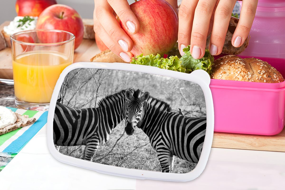 Lunchbox für Brotdose Kunststoff Snackbox, Kinder, MuchoWow Mädchen, rosa (2-tlg), Zwei Zebras, Brotbox Kunststoff, Erwachsene,