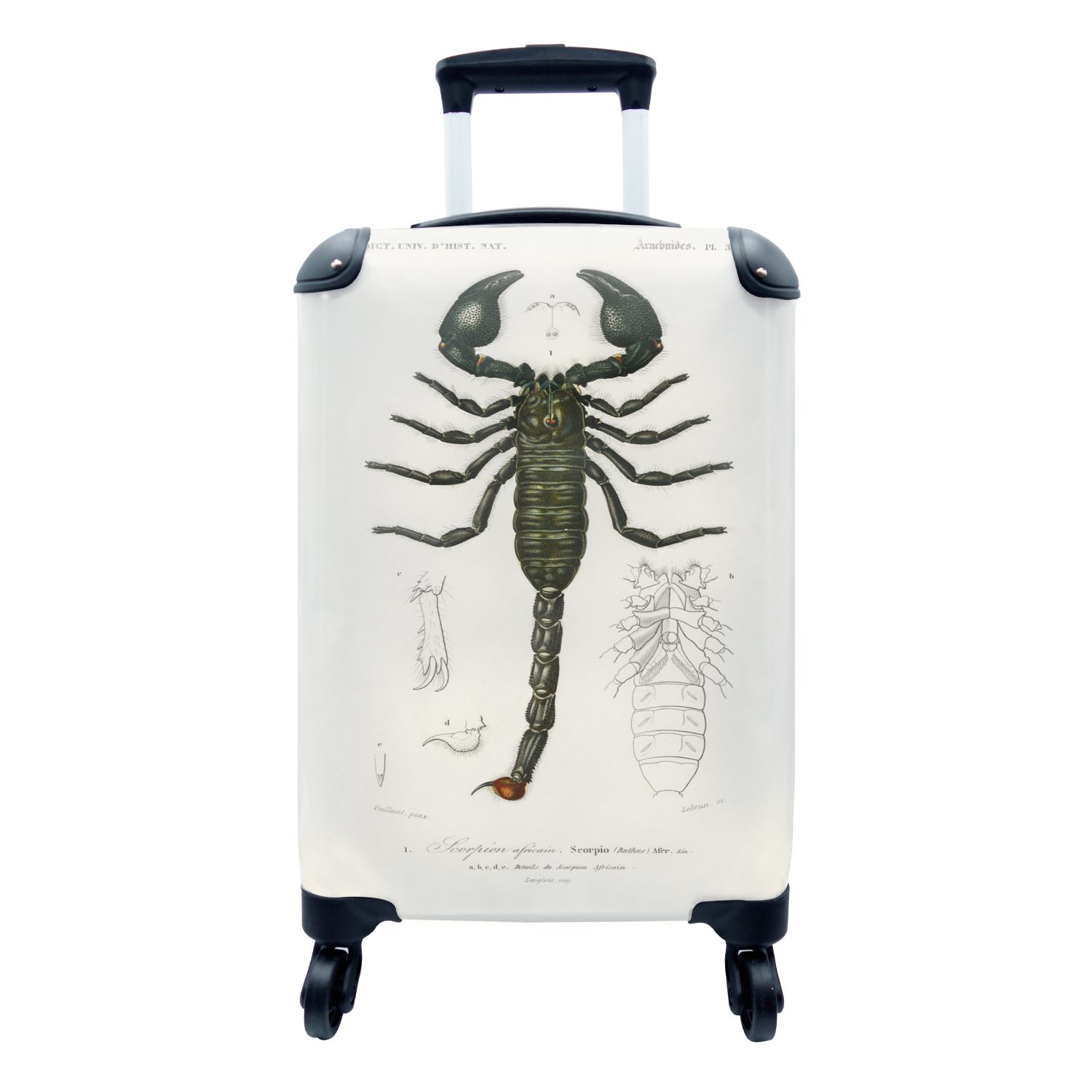 MuchoWow Handgepäckkoffer Skorpion - Jahrgang - Insekten, 4 Rollen, Reisetasche mit rollen, Handgepäck für Ferien, Trolley, Reisekoffer